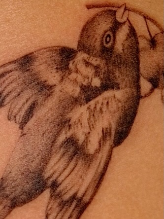 Bird black and grey tattoo by macie ❥ austin tattoo artist, Austin, Texas
