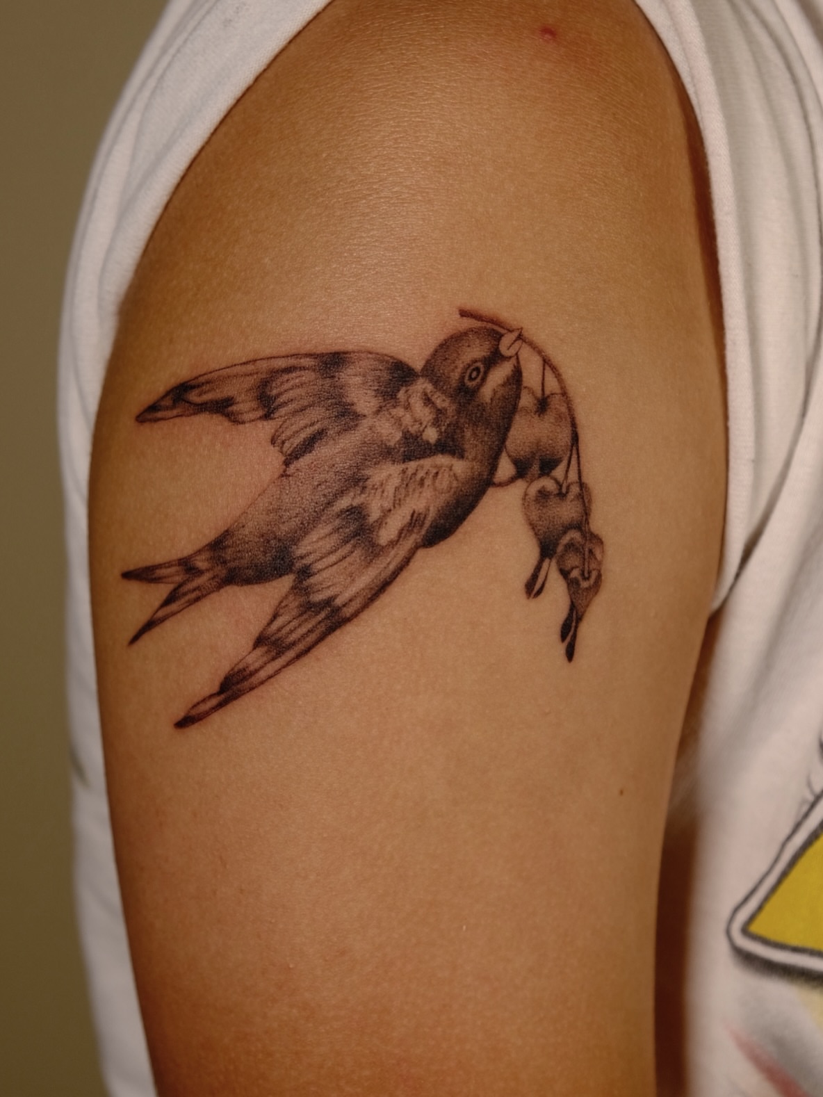 Swallow with chicks realism tattoo on the shoulder by macie ❥ austin tattoo artist, Austin, Texas