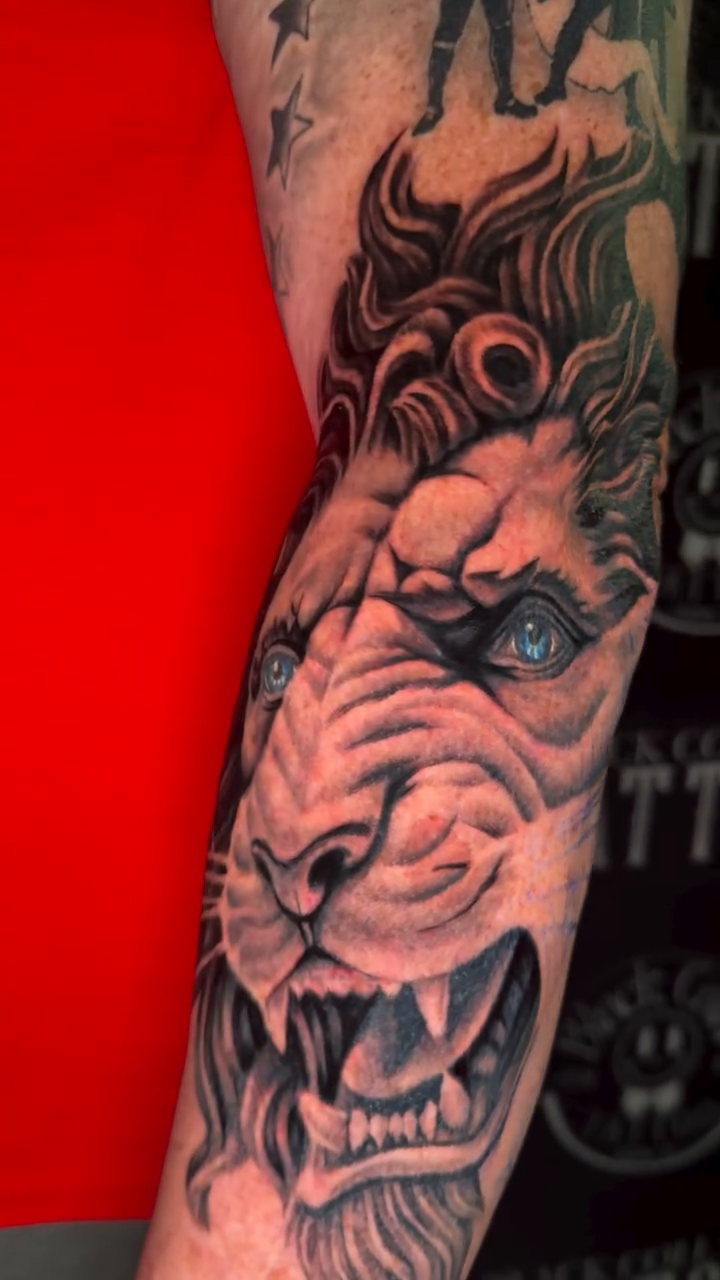 Lion realism tattoo by InkFloyd Roith