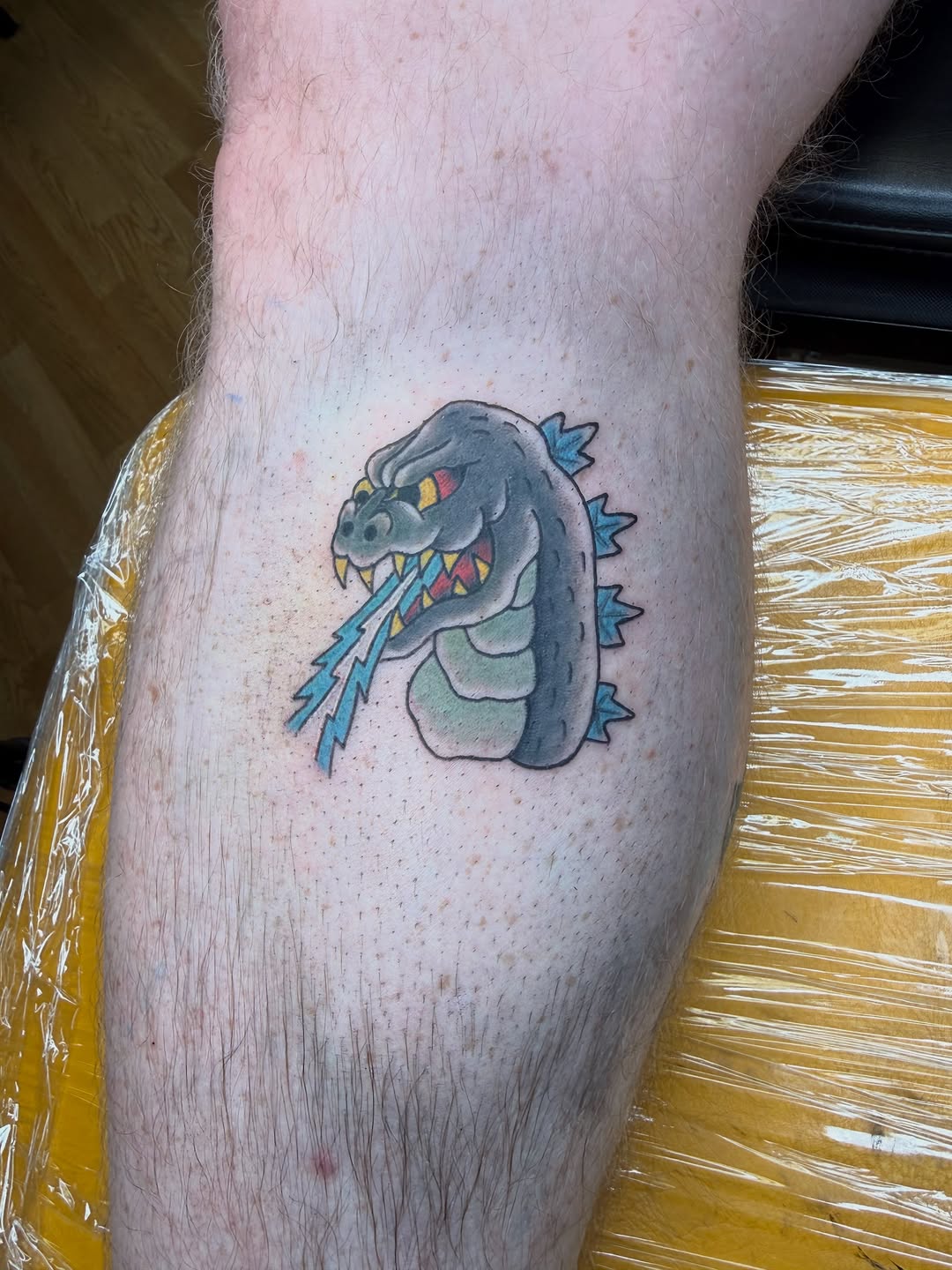 Tattoo by @_bug_brainsss__ — american_traditional, new_school