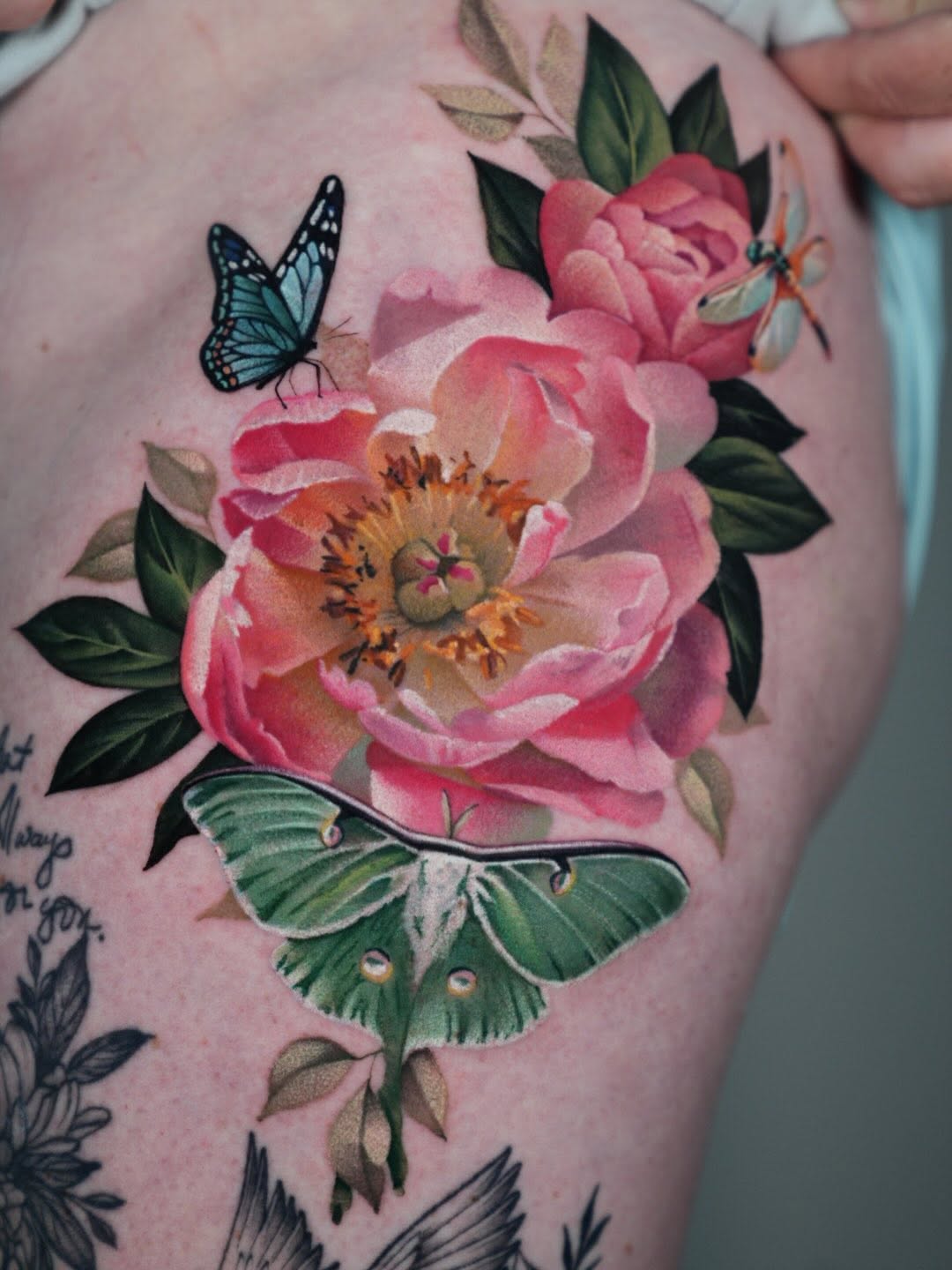 Tattoo by @_vividdreams — realism, fine_line