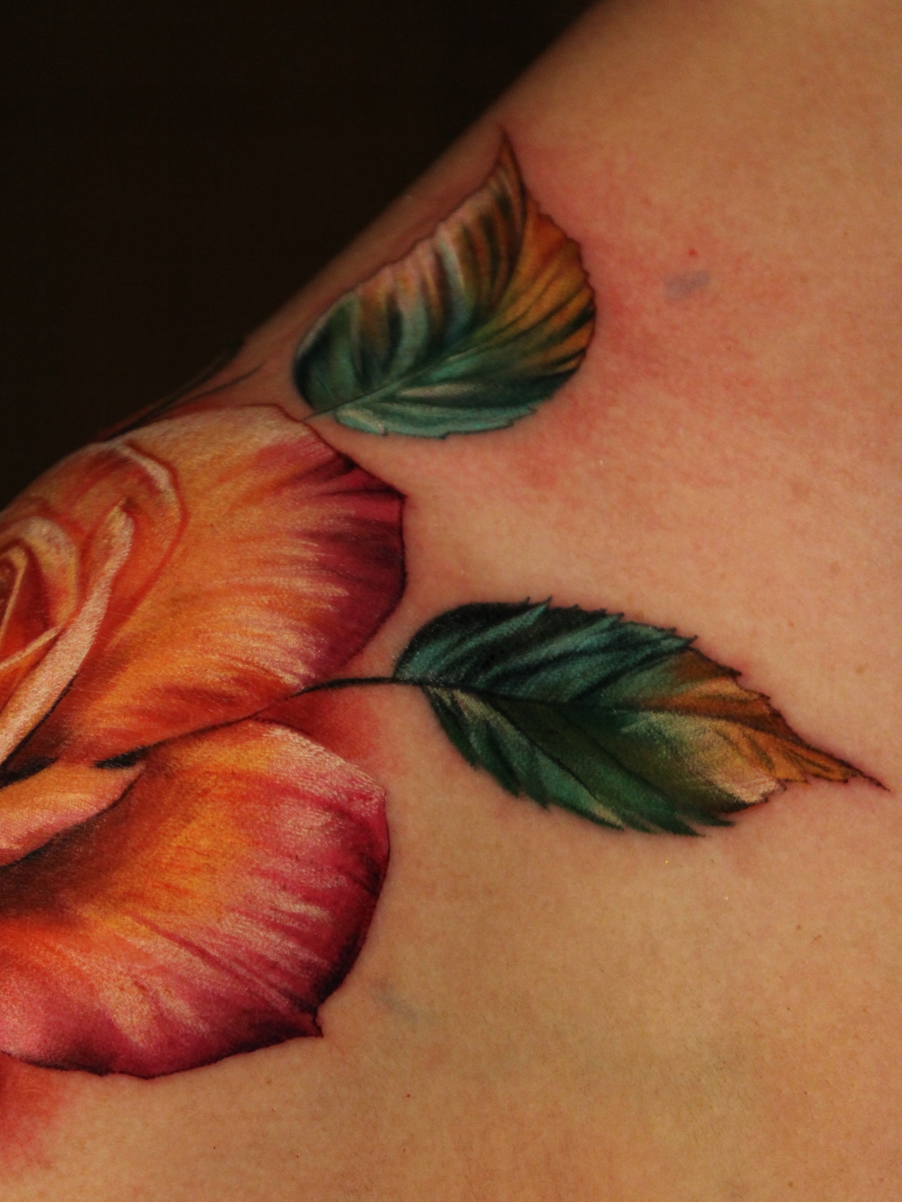 Rose realism tattoo on the shoulder by Eva Williams