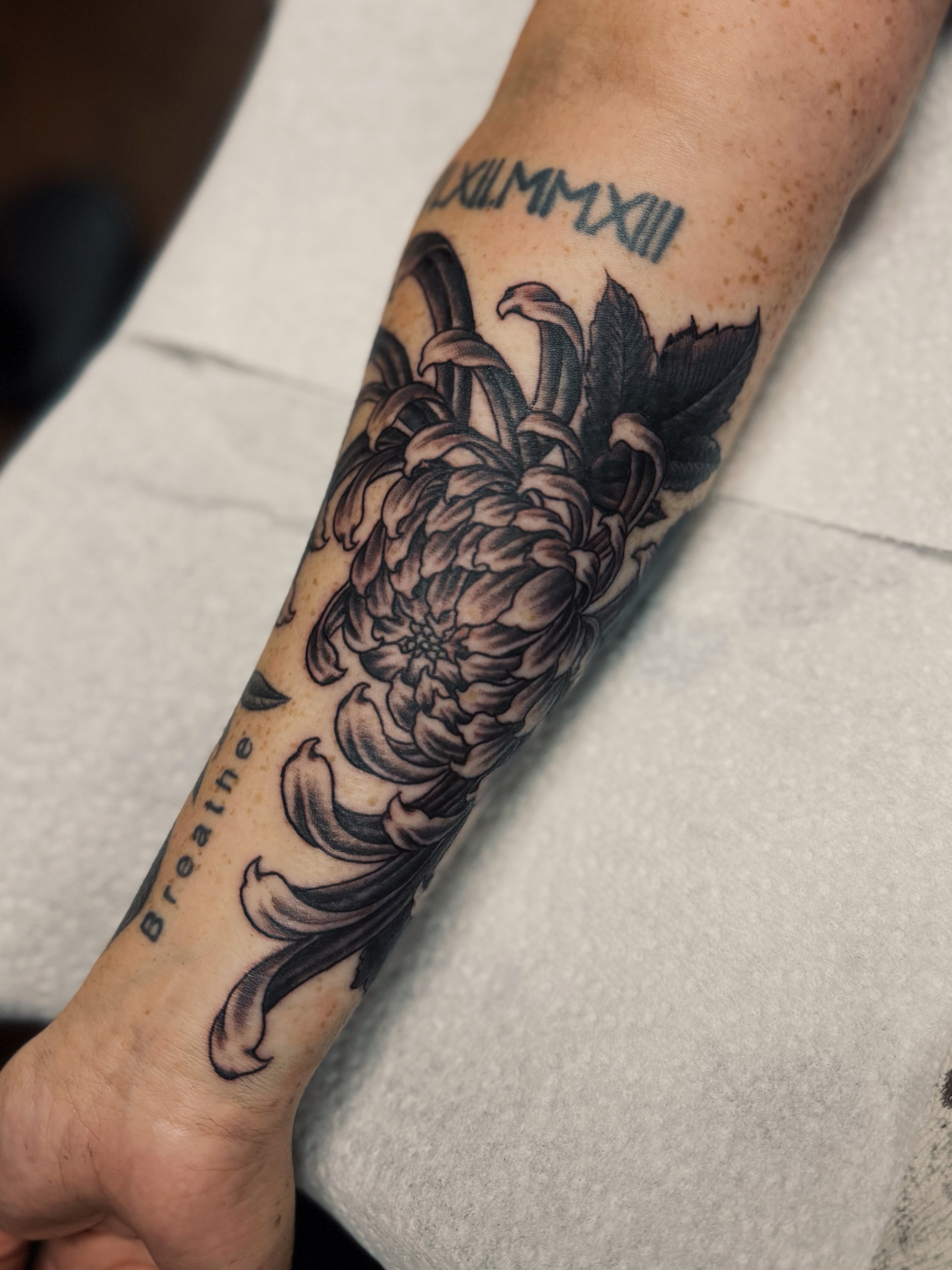 Chrysanthemum black and grey tattoo on the forearm by @amandahowtattoo