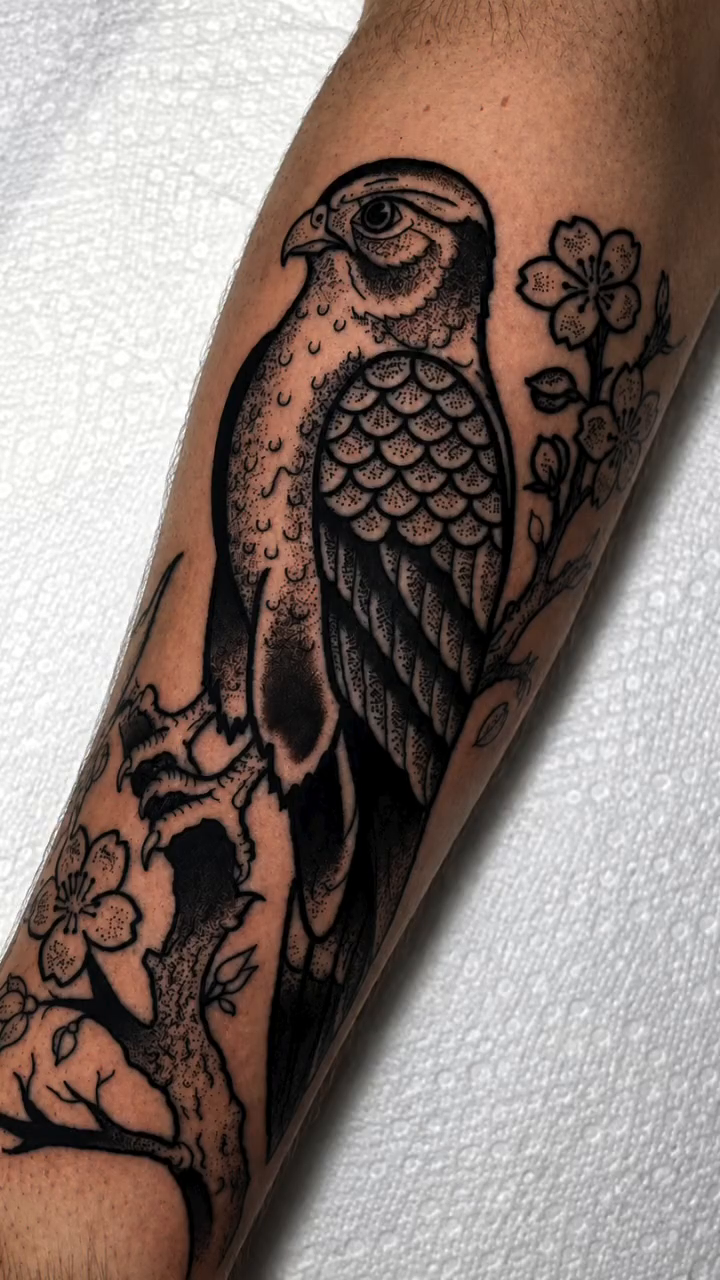 Falcon and cherry blossoms realism tattoo by Todd Showdown