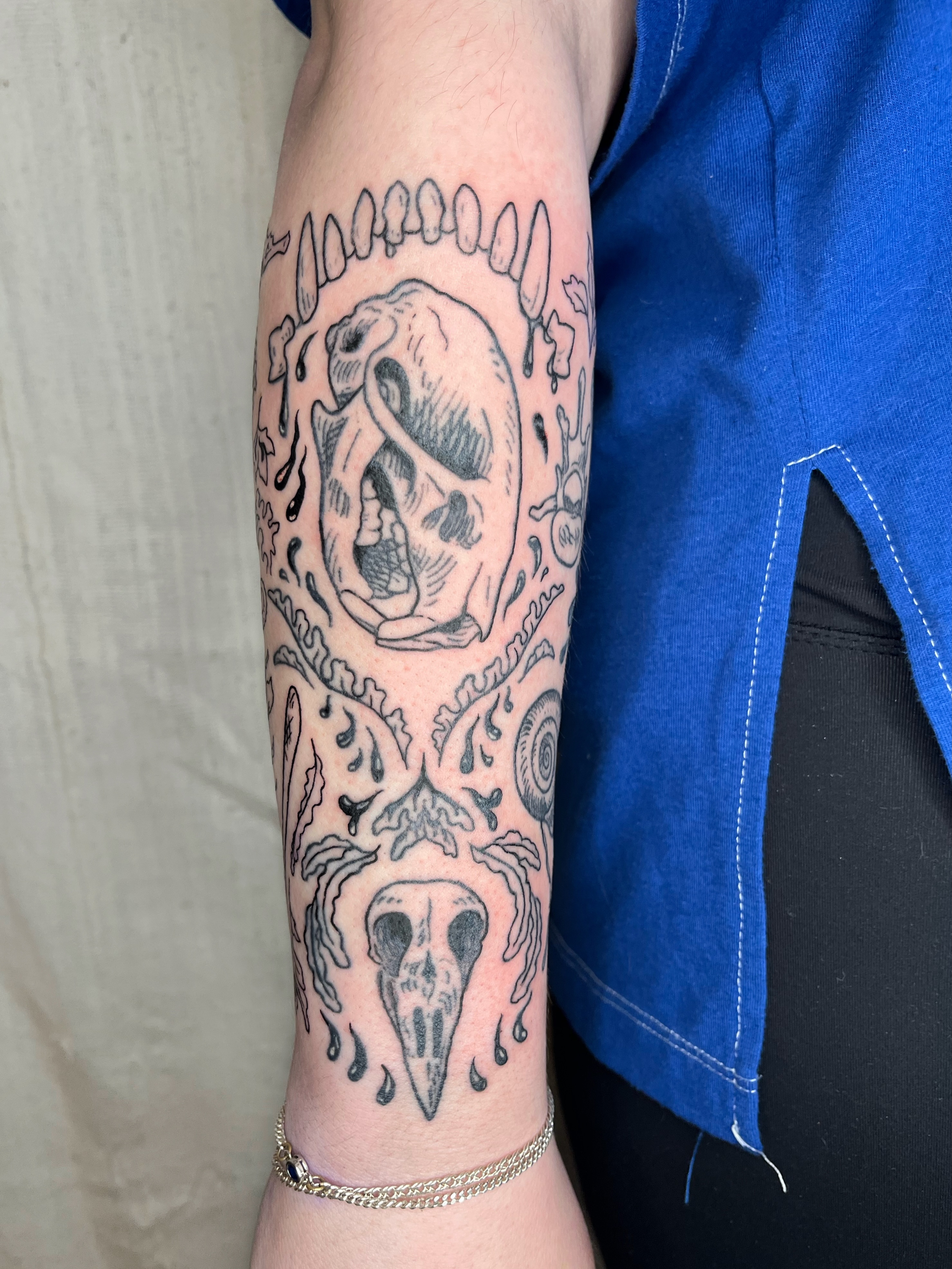 Skull and teeth black and grey tattoo on the forearm by Maris Hare, Philadelphia, Pennsylvania