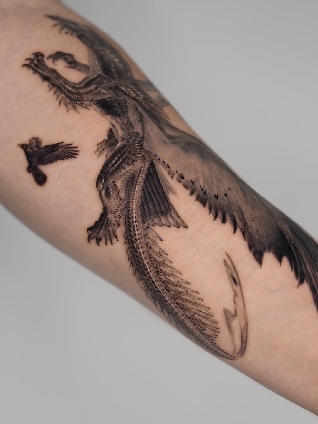 Dragon and bird fine line tattoo on the forearm by Jun