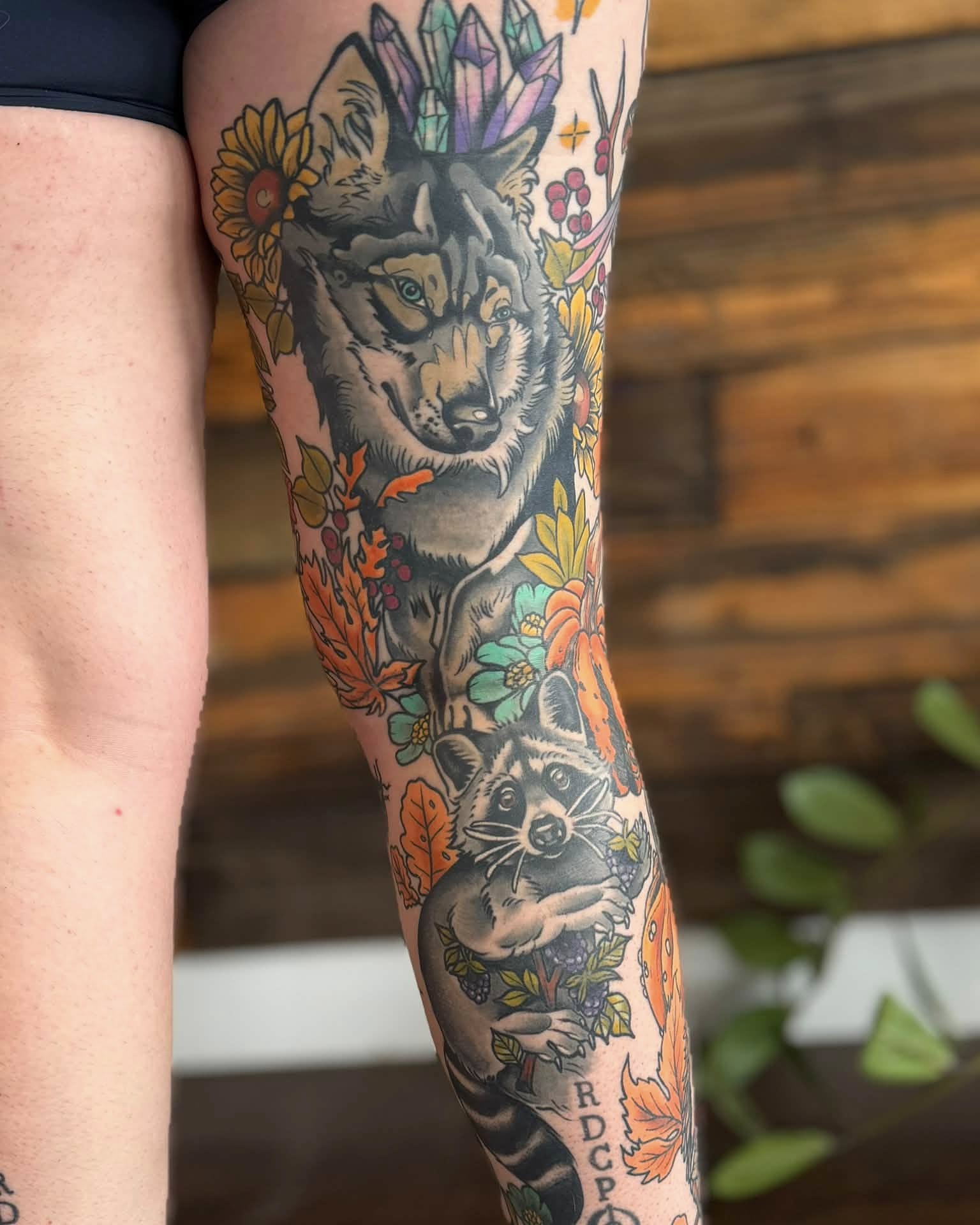 Wolf and raccoon realism tattoo on the forearm by Eden Rose, Kalama, Washington
