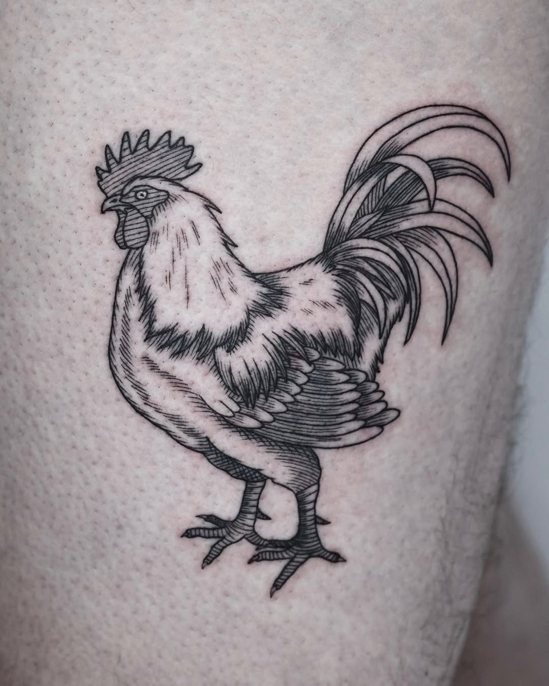 Tattoo by @nocool_kim — illustrative, black_and_grey