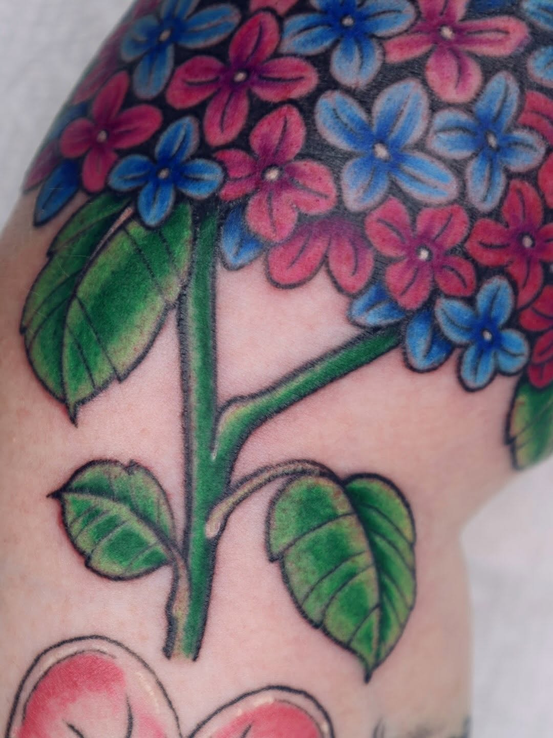 Tattoo by @purrsimmon — neo_traditional