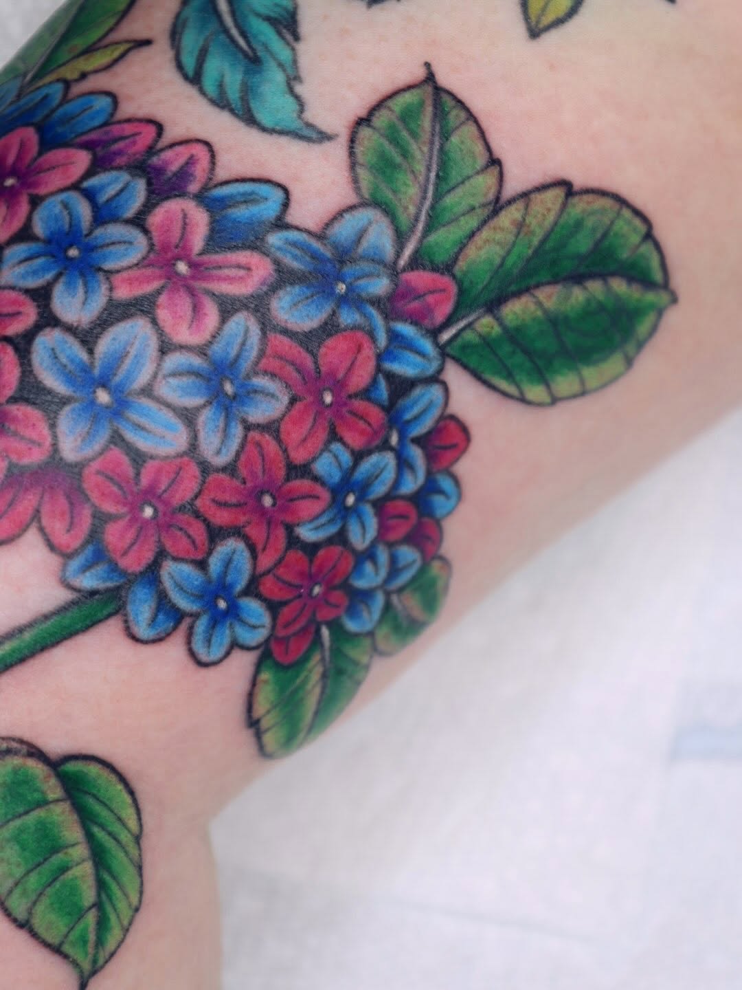 Tattoo by @purrsimmon — neo_traditional
