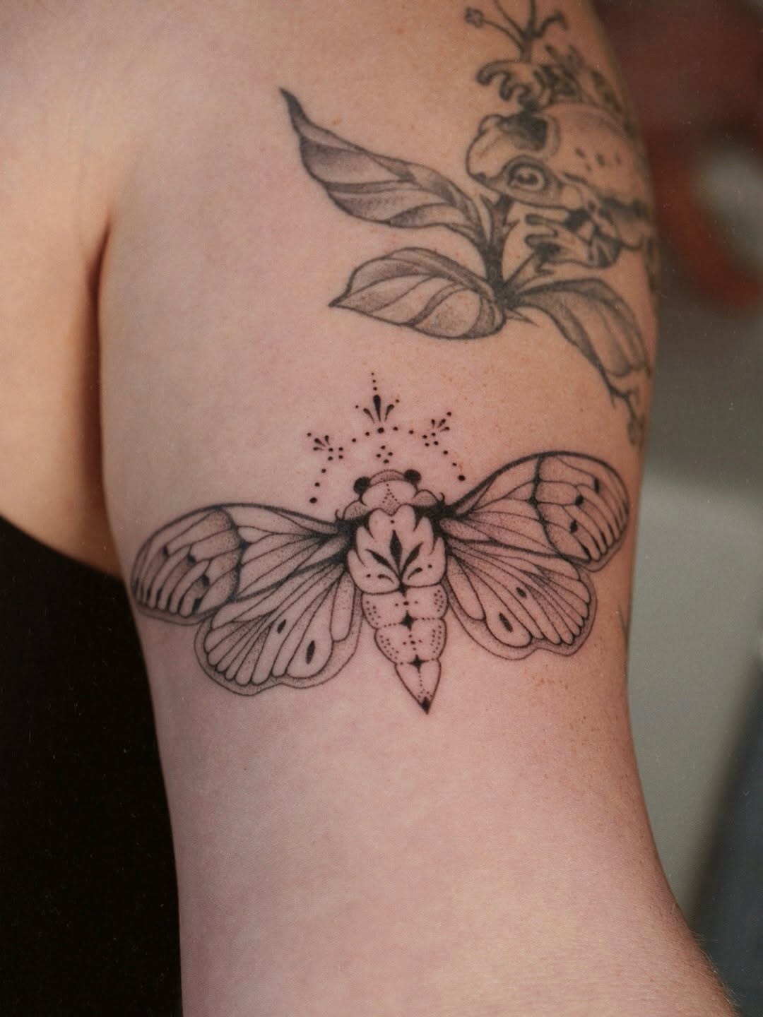 Tattoo by @poeticpokes — fine_line, dotwork
