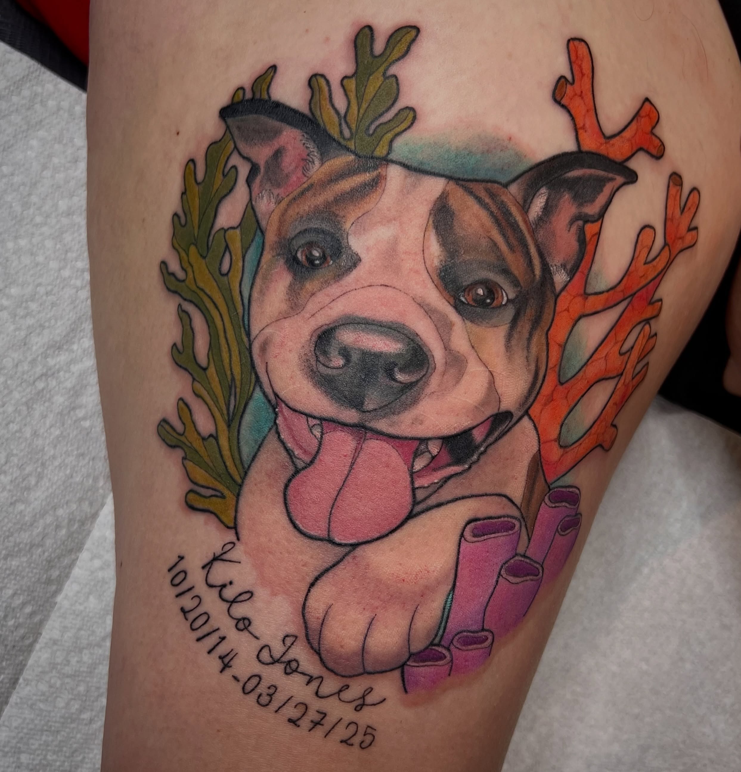 Tattoo by @hollytattoos__ — realism, watercolor