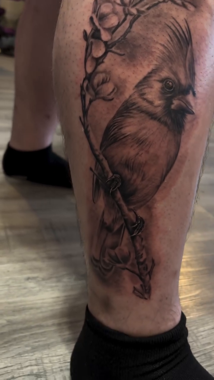 Cardinal bird on a branch fine line tattoo on the leg by Oto_art