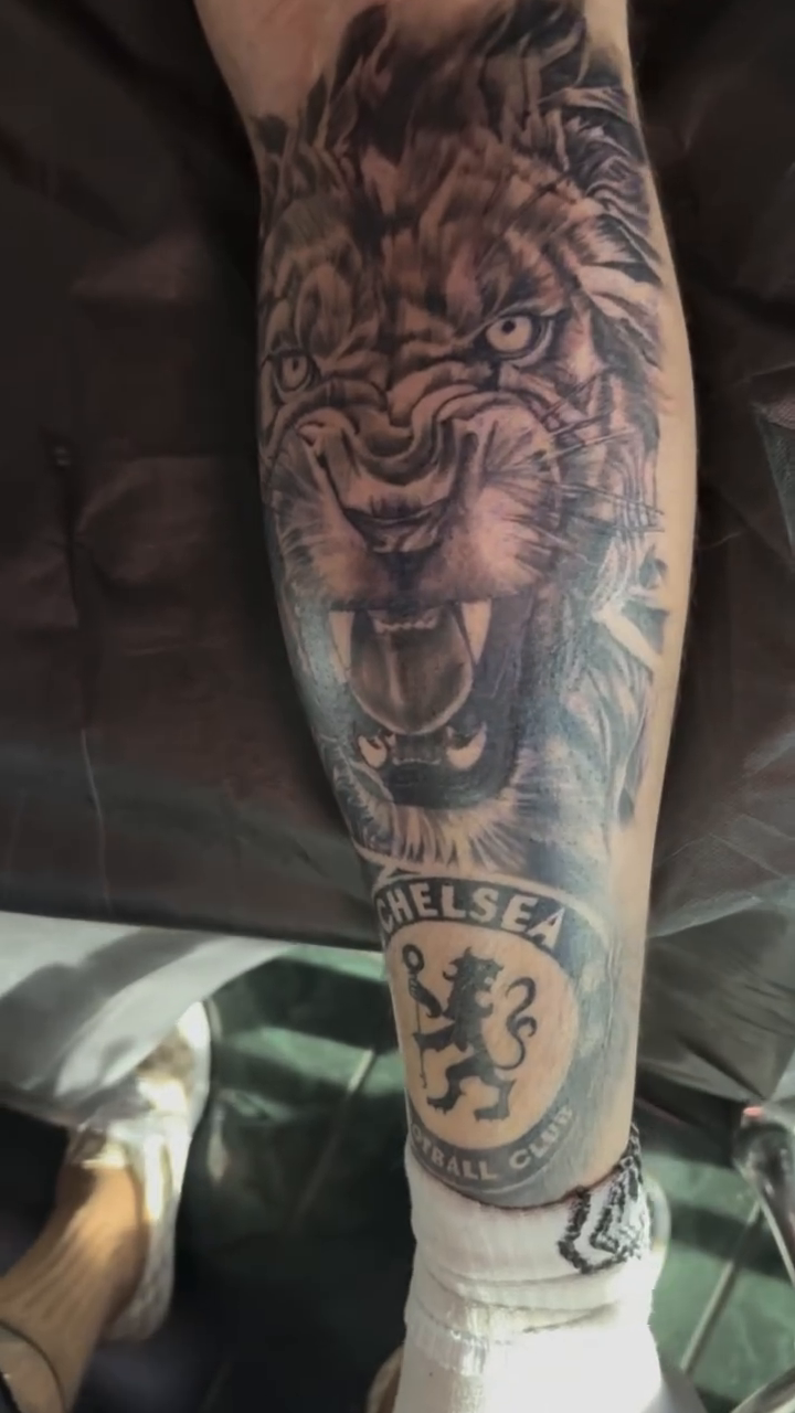 Lion portrait with Chelsea logo realism tattoo on the forearm by @inkwitatlas