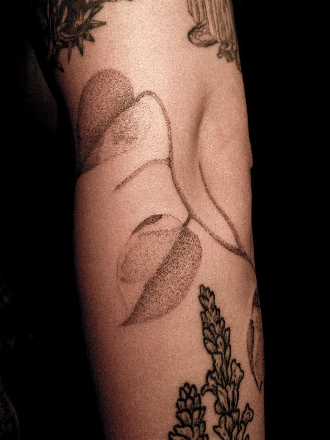 Tattoo by @28inked โ dotwork, fine_line