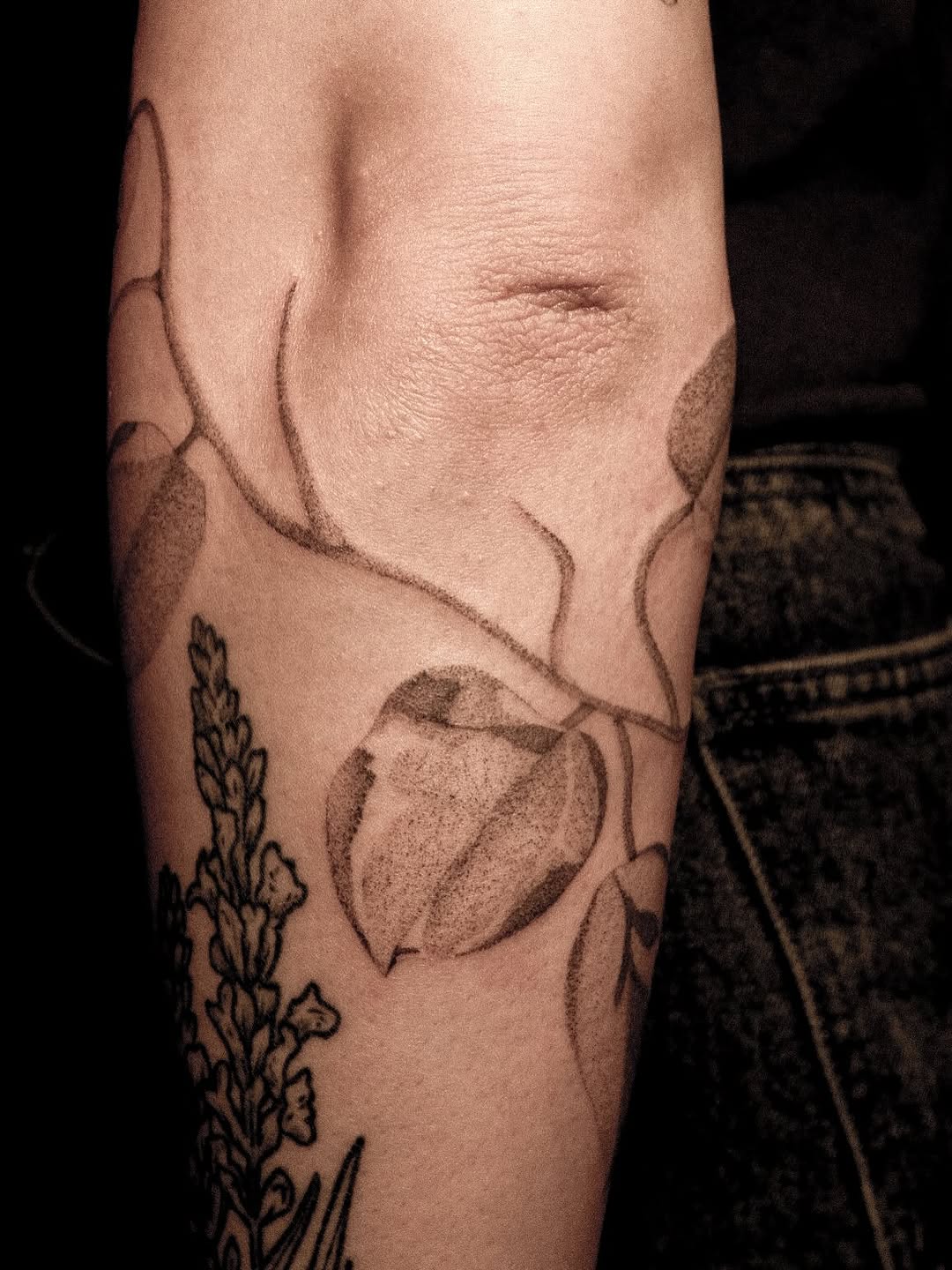 Tattoo by @28inked โ fine_line, dotwork