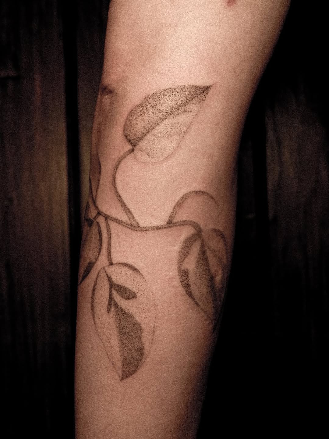 Tattoo by @28inked โ dotwork, fine_line
