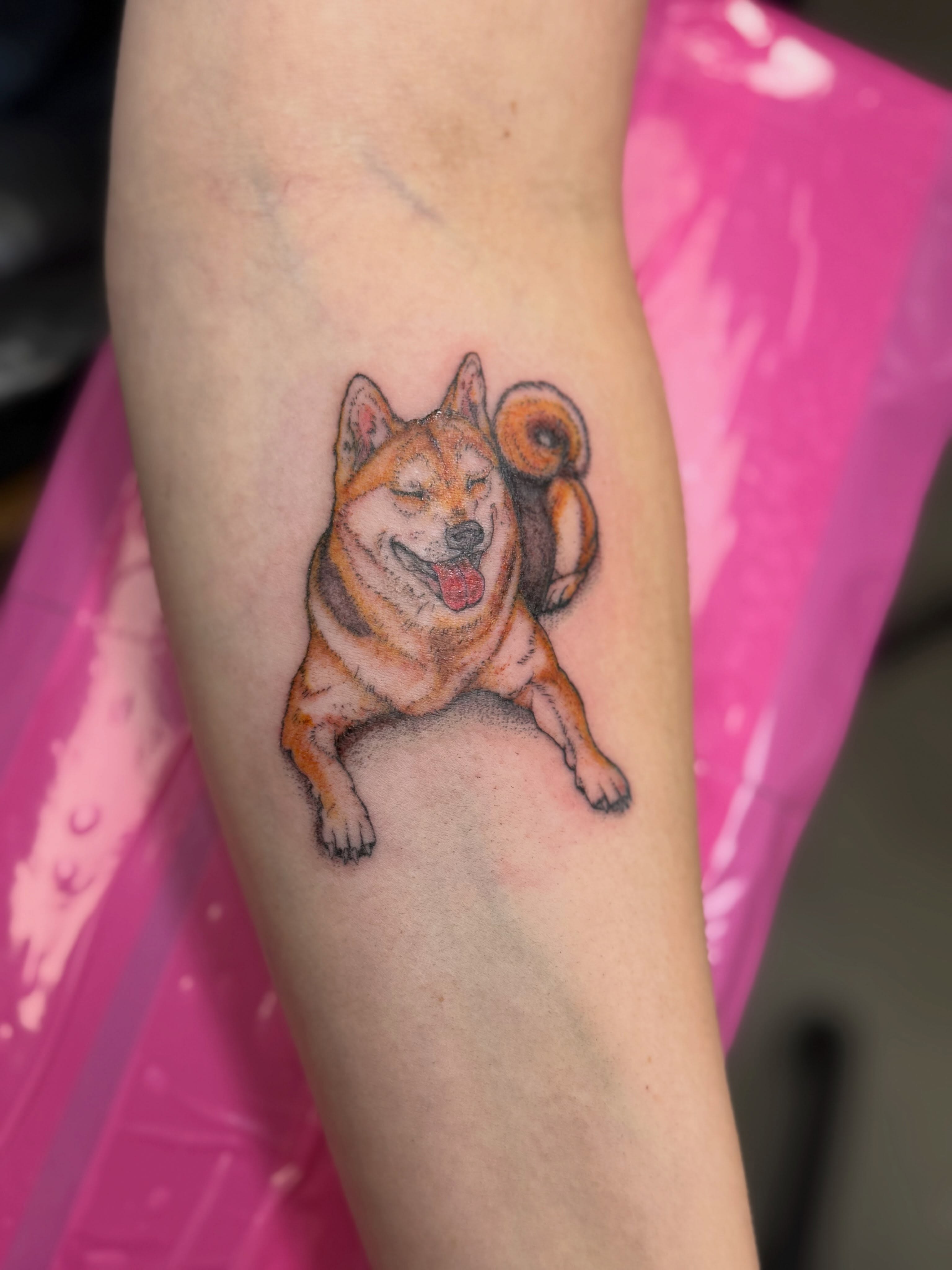 Dog with ram horns realism tattoo on the forearm by Van Cleave Aesthetics, Franklin, Tennessee