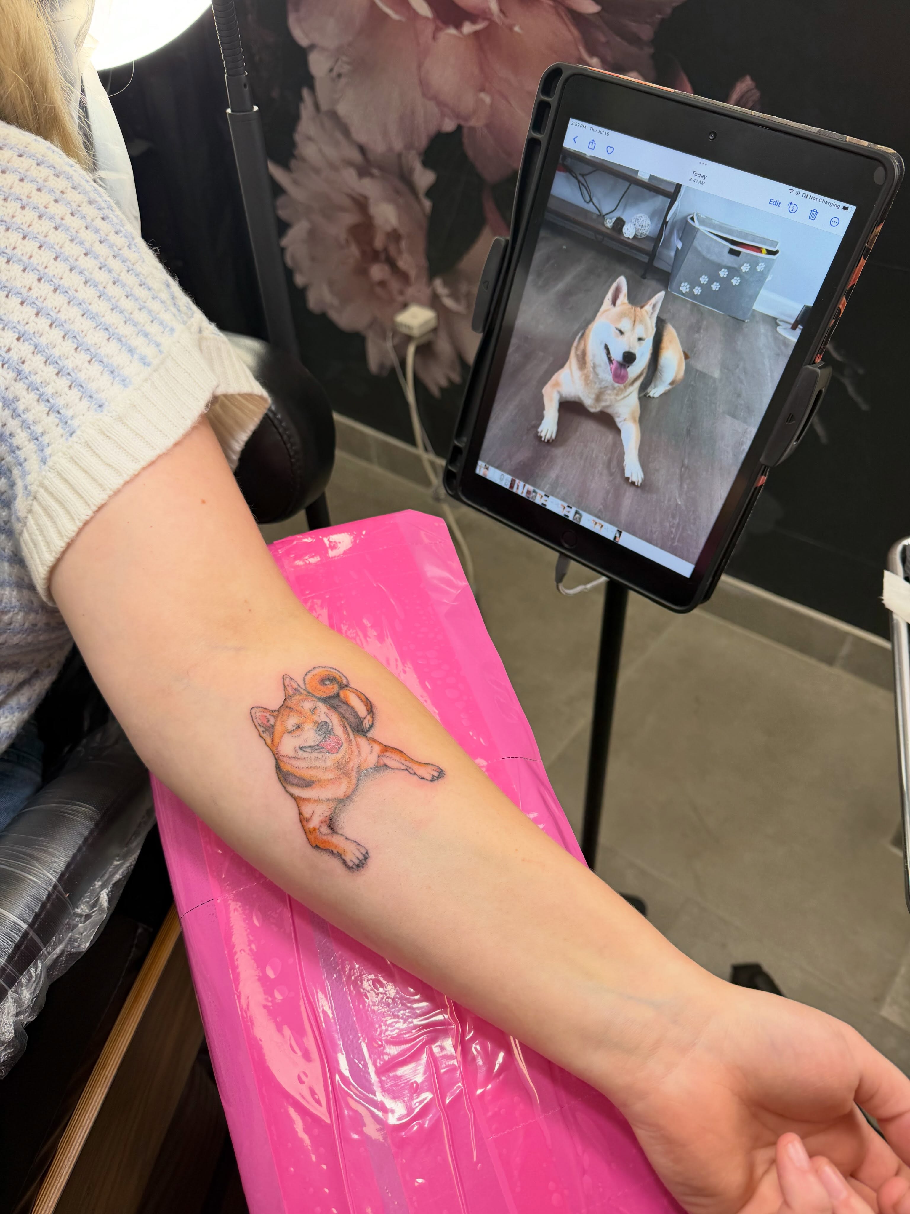 Dog realism tattoo on the forearm by Van Cleave Aesthetics, Franklin, Tennessee
