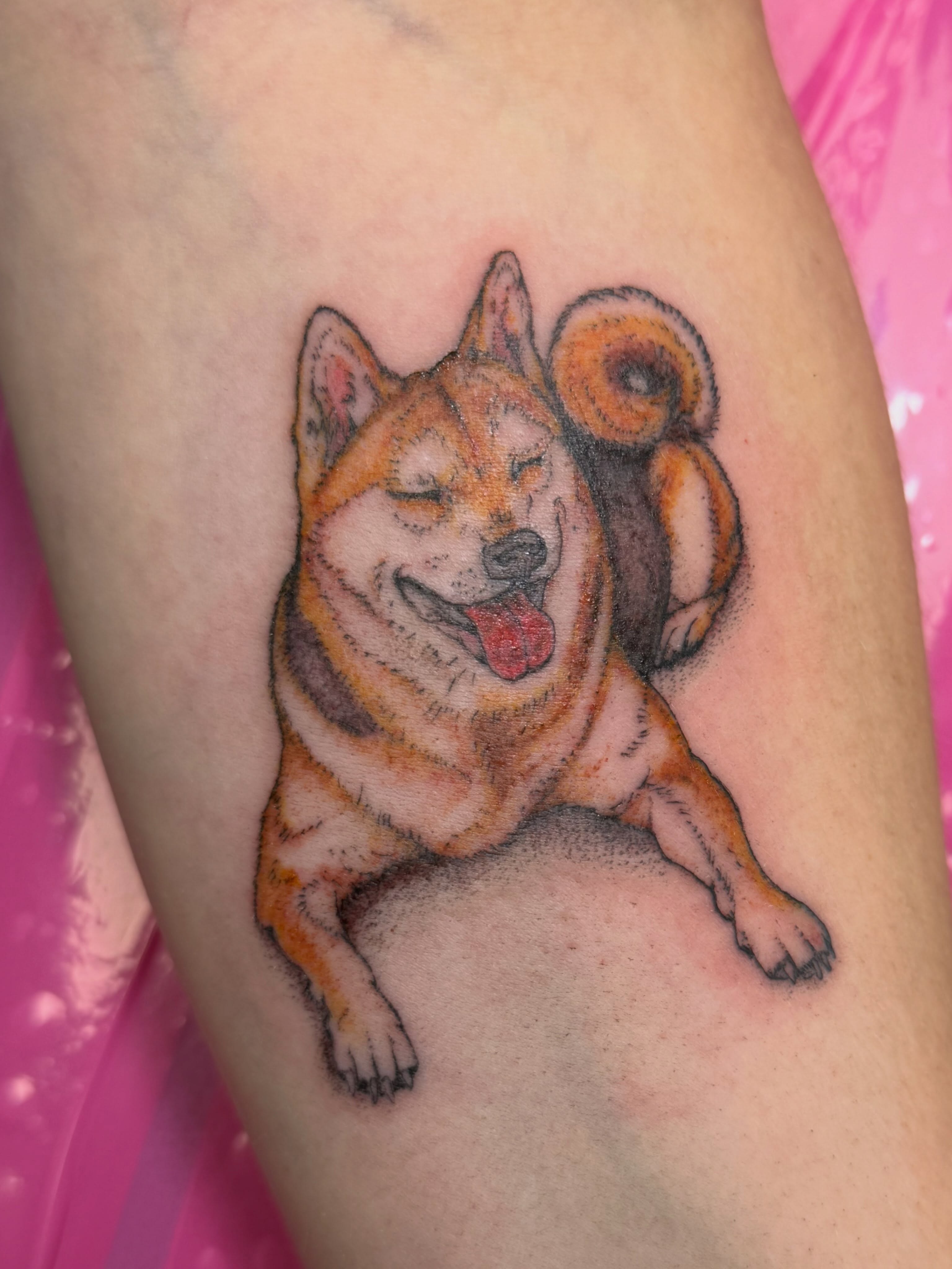 Dog realism tattoo on the forearm by Van Cleave Aesthetics, Franklin, Tennessee