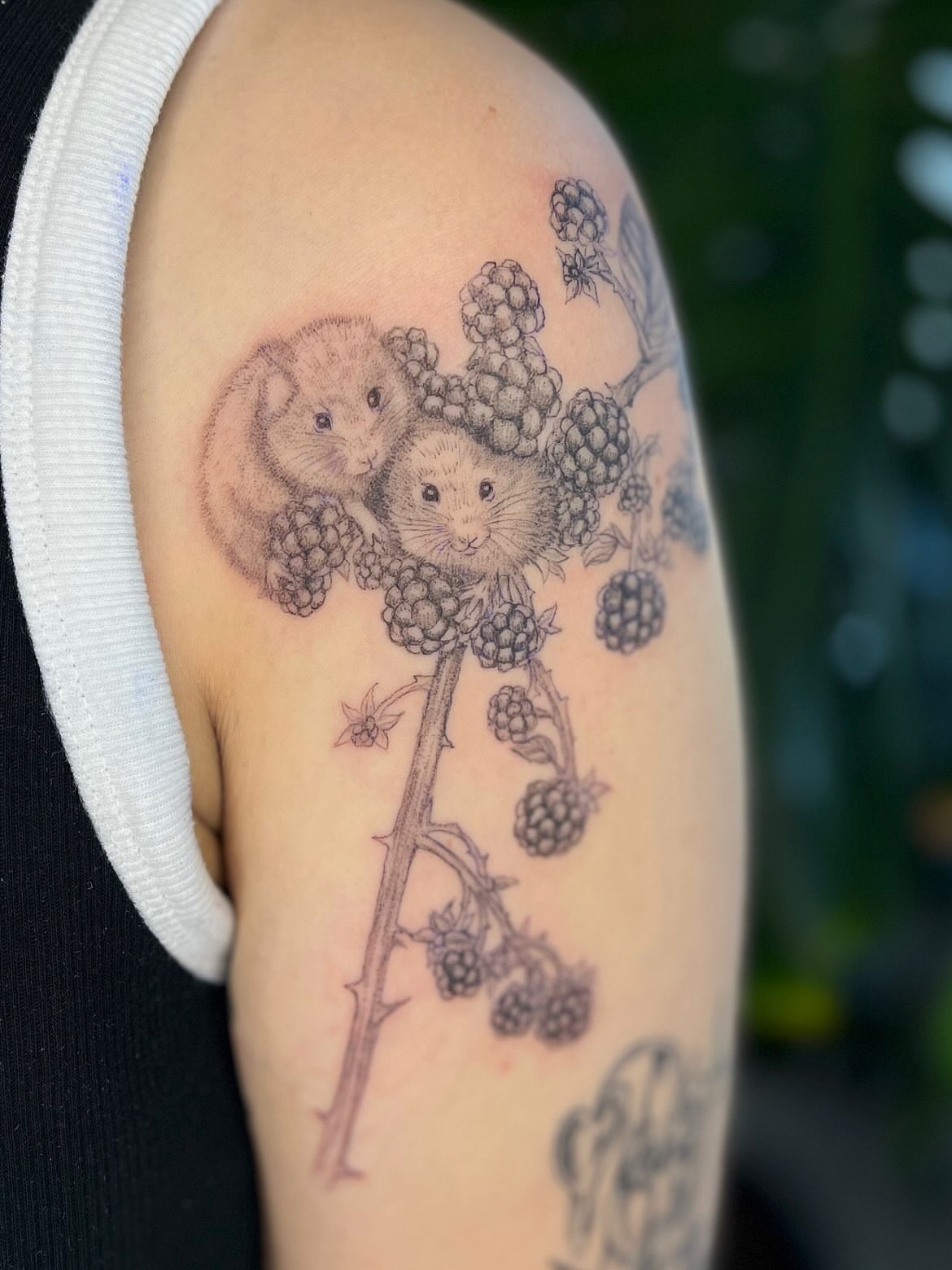 Black and white mice realism tattoo on the upper arm by Jordi WA Tacoma Tattooer