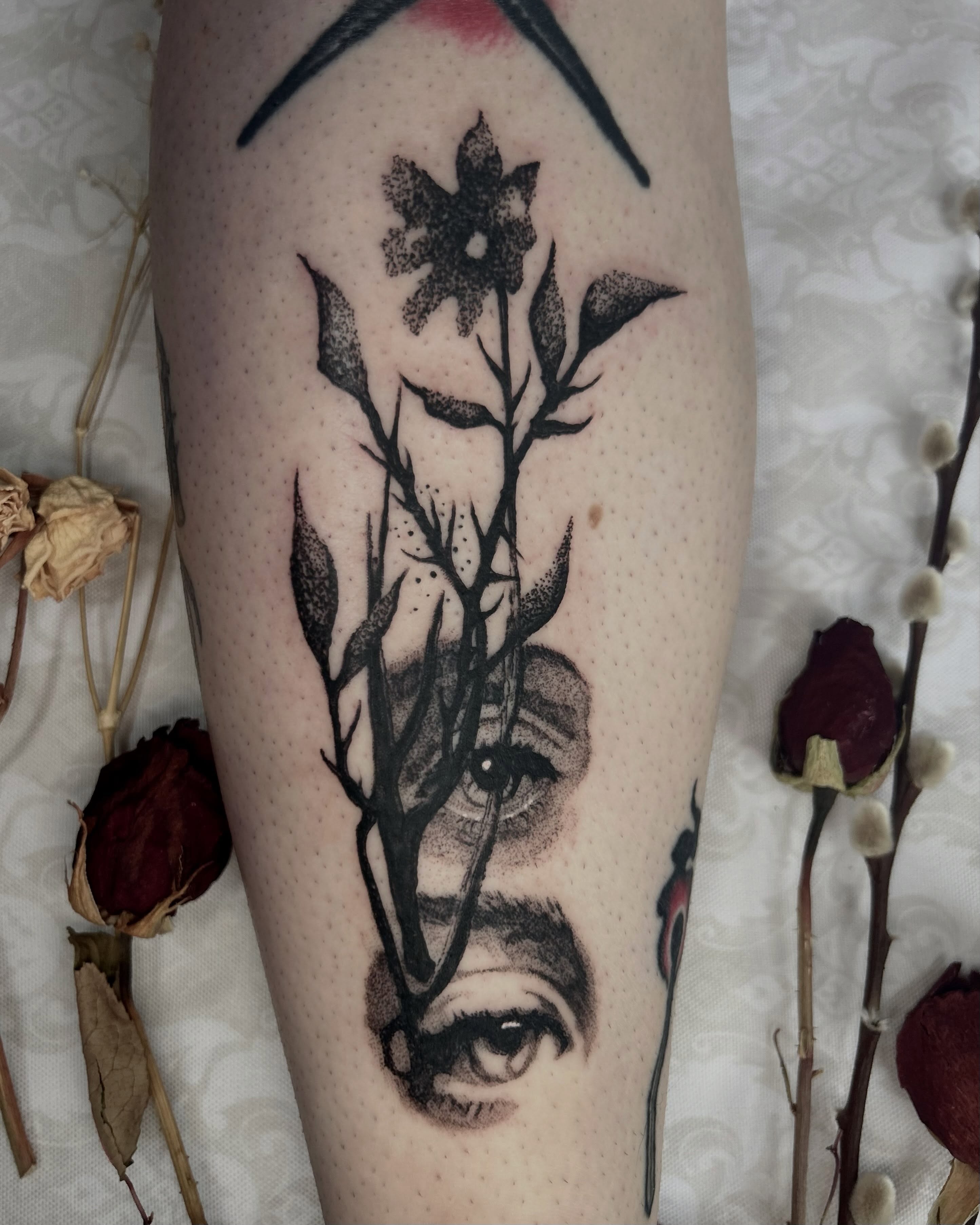Tattoo by 𝐓𝐀𝐍𝐍𝐄𝐑 𝐍𝐘𝐋𝐀𝐍𝐃 𝐋𝐀𝐑𝐒𝐎𝐍, Philadelphia, PA
