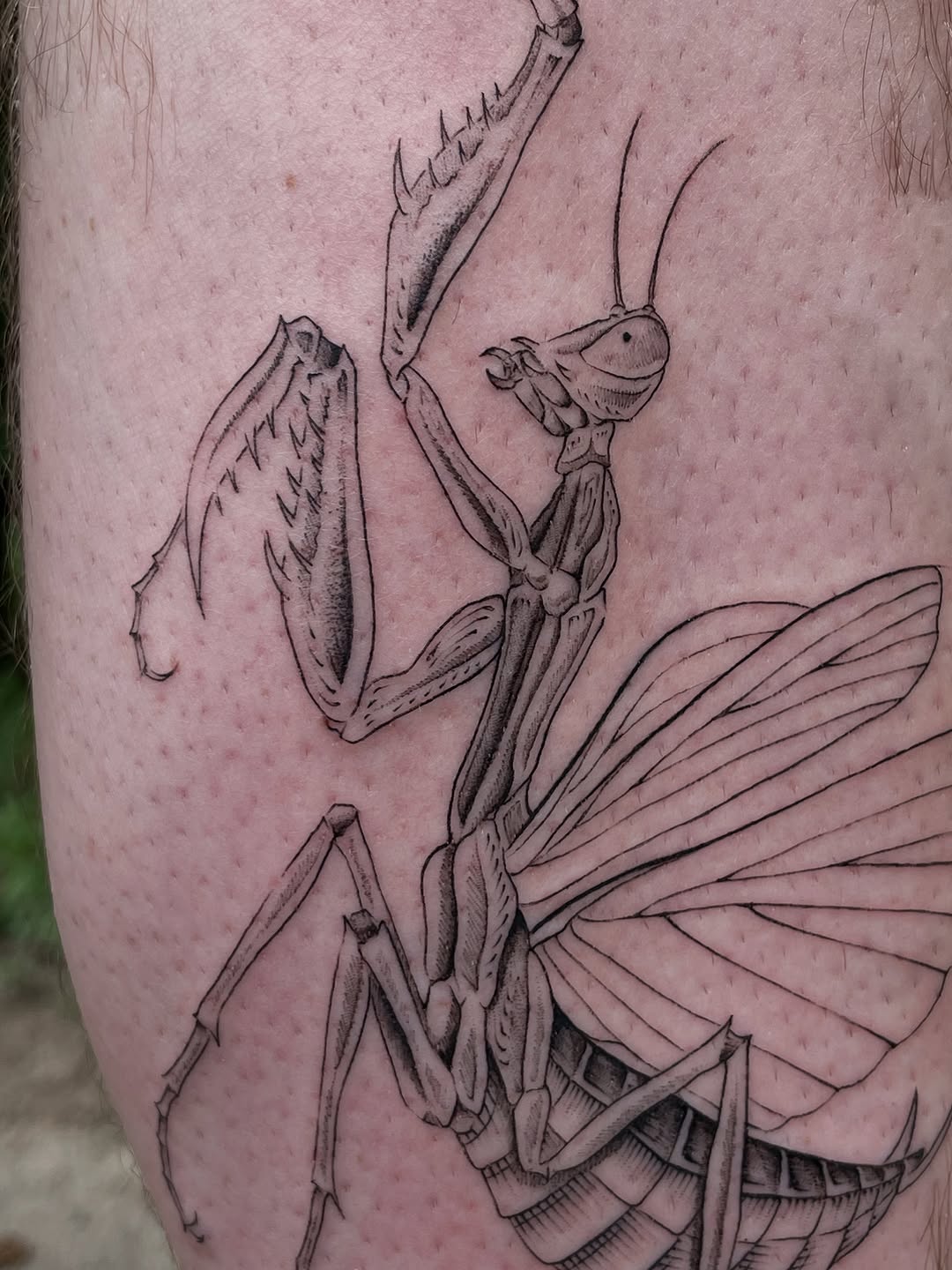 Tattoo by @mimiblu_stattoos — realism, black_and_grey