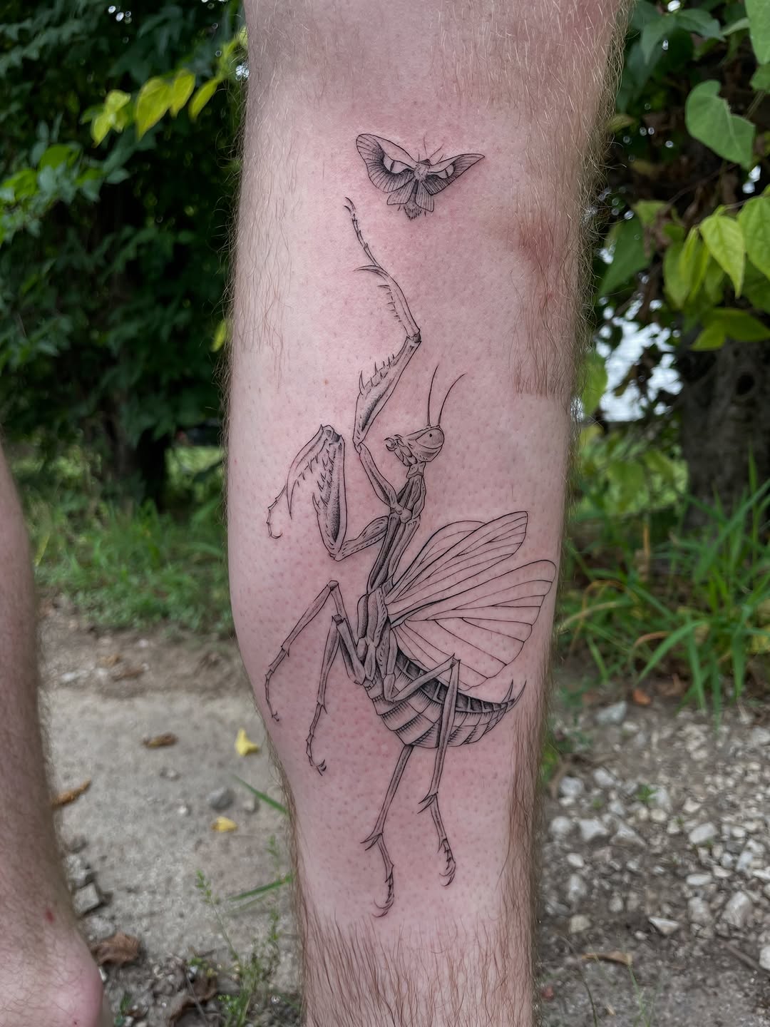 Tattoo by @mimiblu_stattoos — fine_line, realism