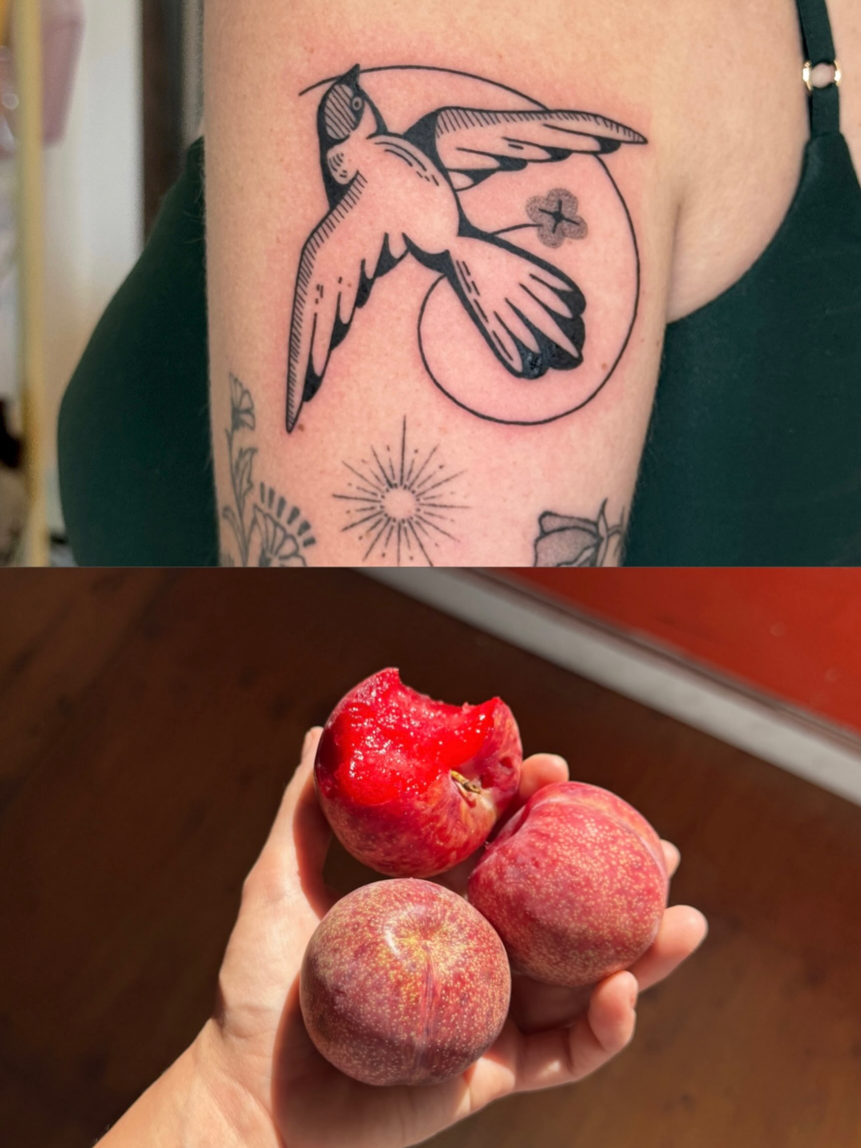 Bird American traditional tattoo on the forearm by tattoos by miss jackie o 🎱