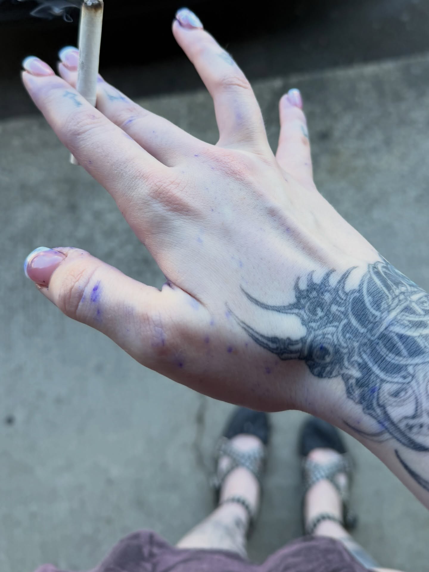 Bull black and grey tattoo on the forearm by Maddie Blosser, Portland, Oregon