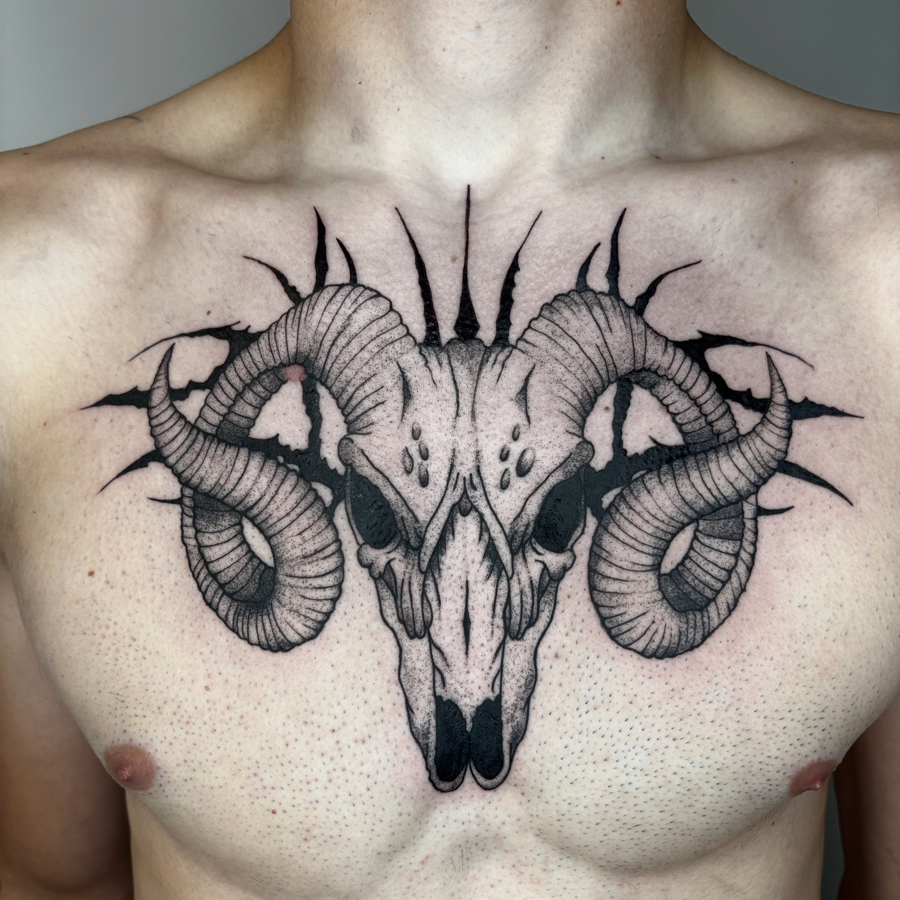 Tattoo by @skam_tattoo — dotwork, black_and_grey