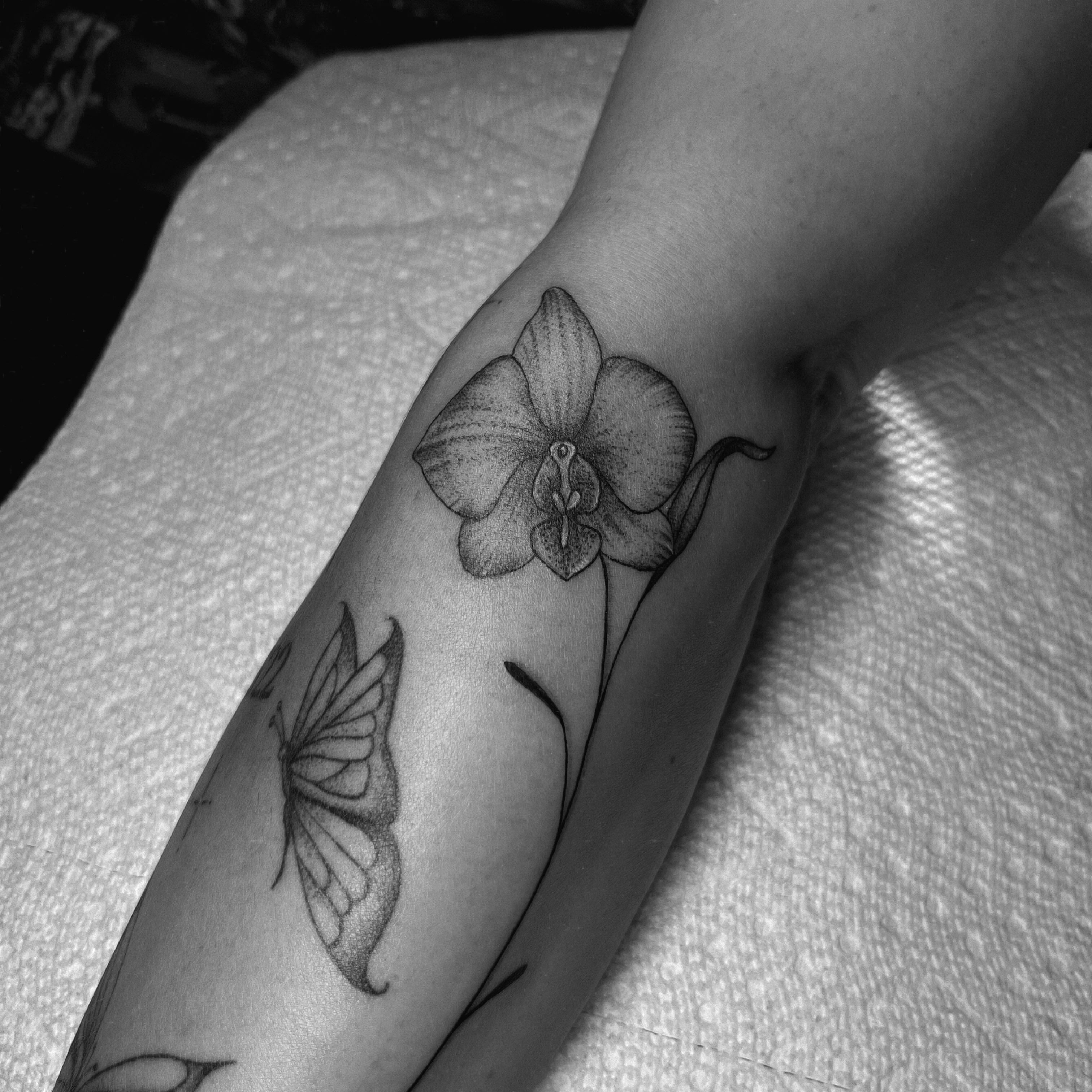 Orchid and butterfly realism tattoo on the forearm by Giana Martinez, Wichita, Kansas