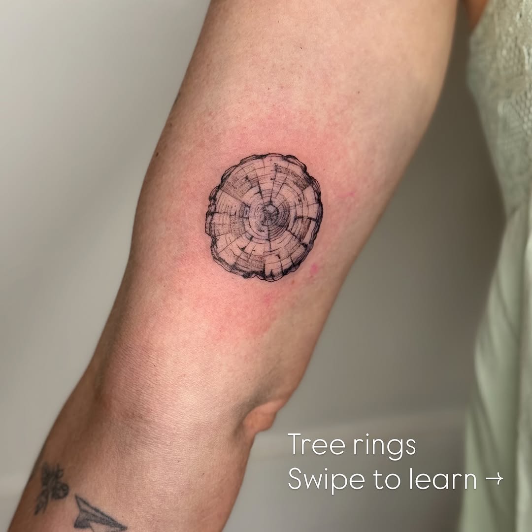 Tree rings fine line tattoo on the forearm by ❁ Marlo Marquise Tattoo Artist ❁
