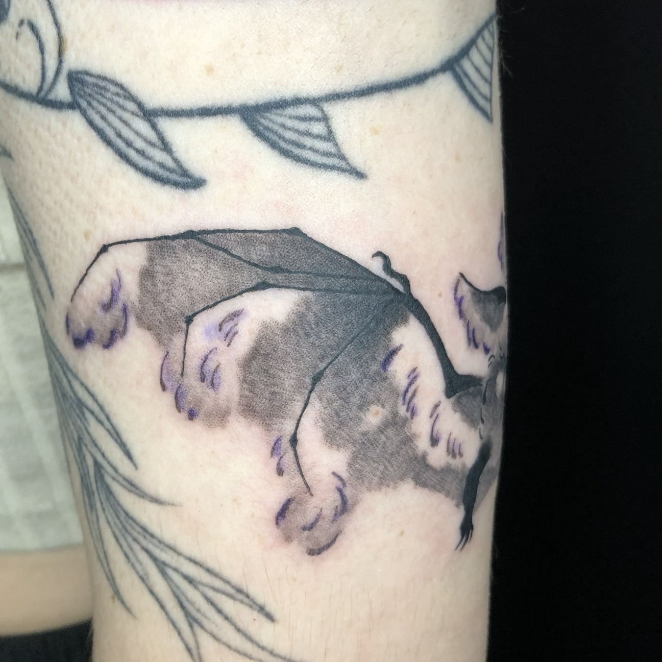 Bat black and grey tattoo on the forearm by Rowan Lee