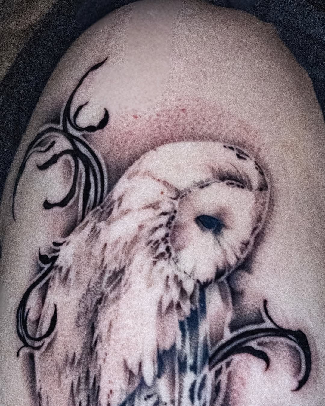 Barn owl with decorative elements fine line tattoo on the shoulder by zanna joy