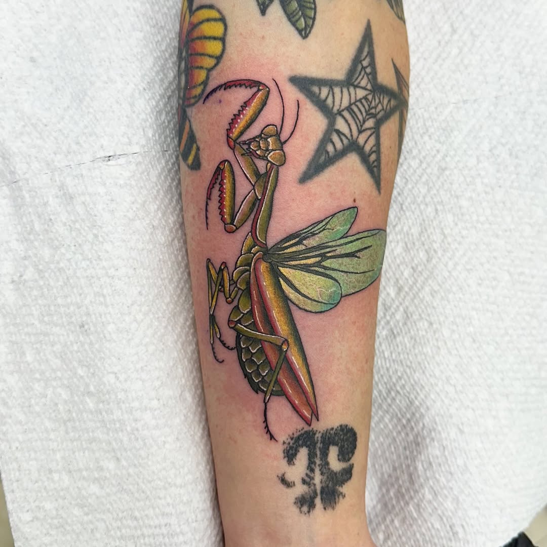 Praying mantis fine line tattoo on the forearm by Nicki Hoverson