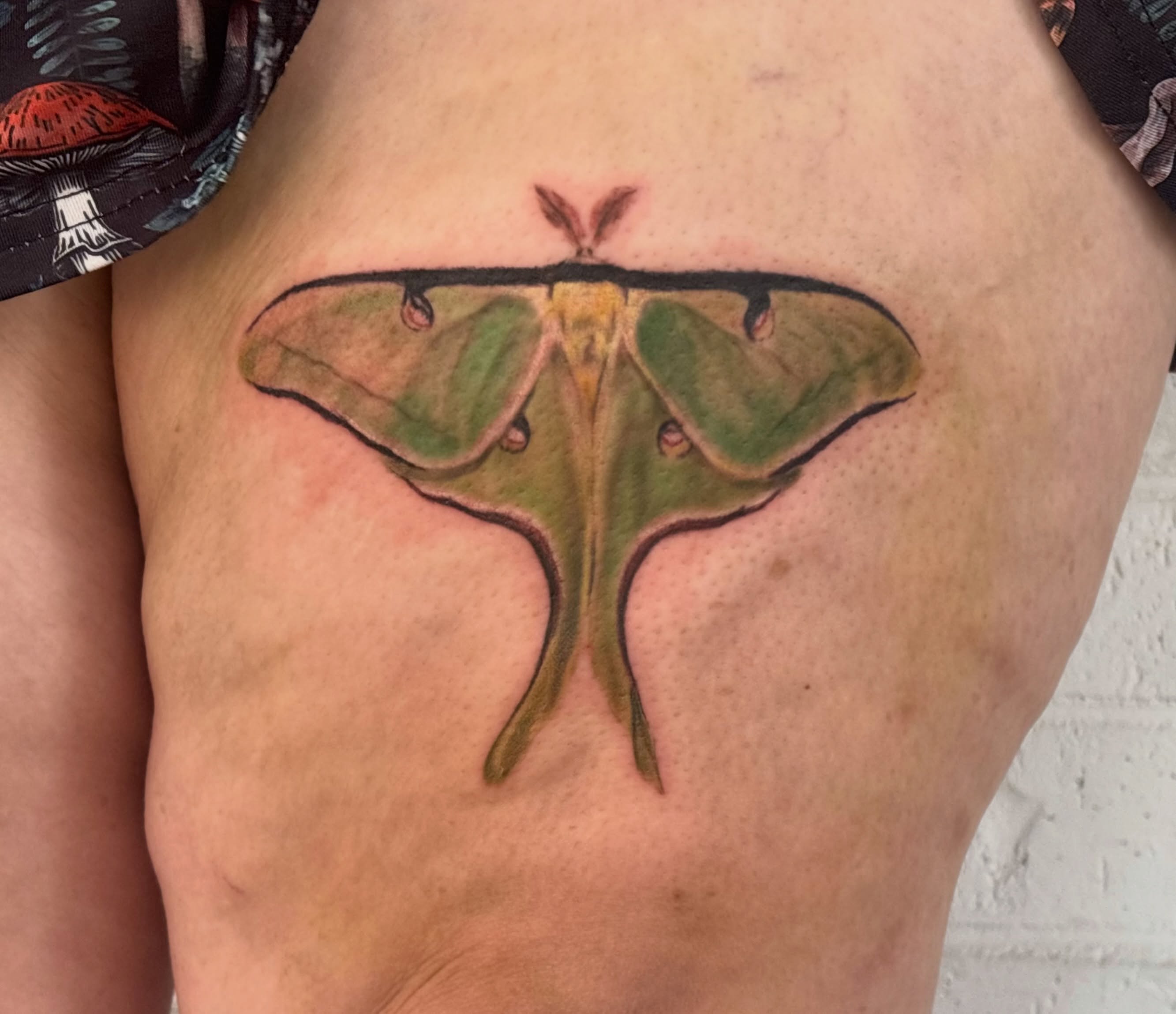 Moon moth realism tattoo on the thigh by jordy
