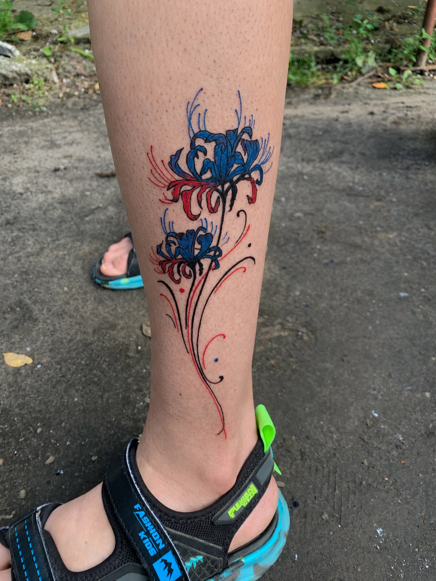 Tattoo by @_cats_and_tatts_ — new_school, ornamental