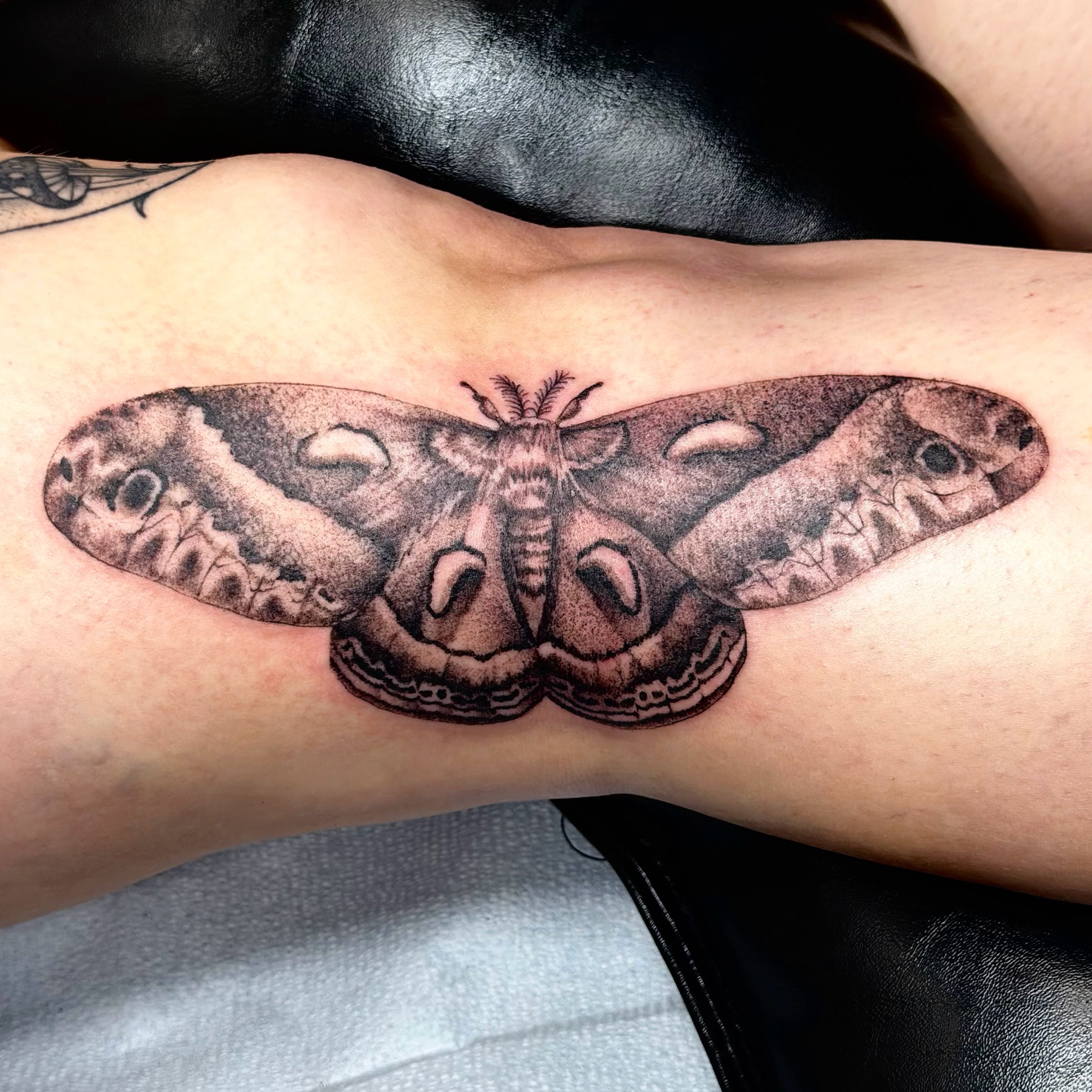 Moth realism tattoo on the forearm by Emily
