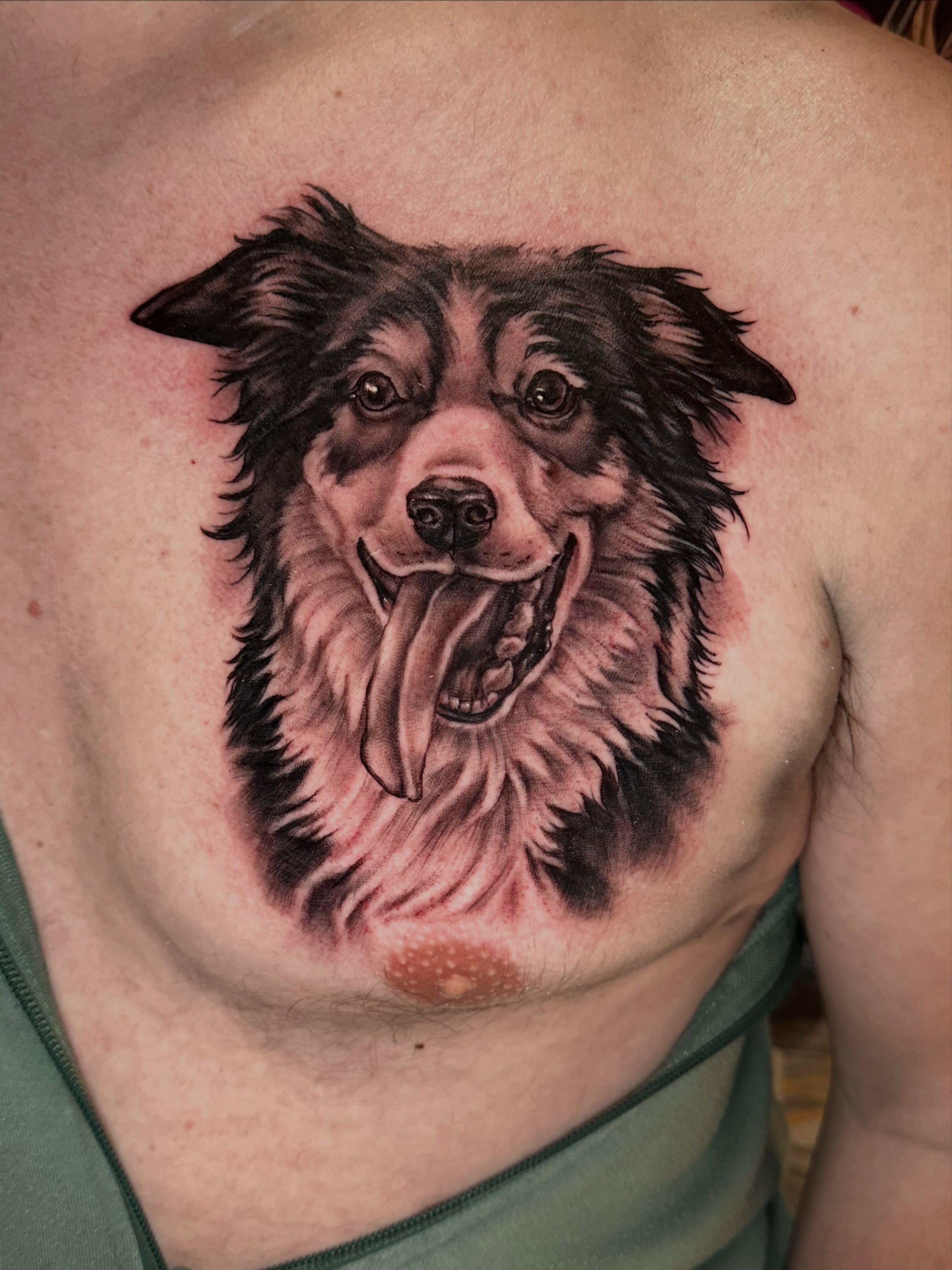 Dog realism tattoo on the chest by John Milosh Chamberlin
