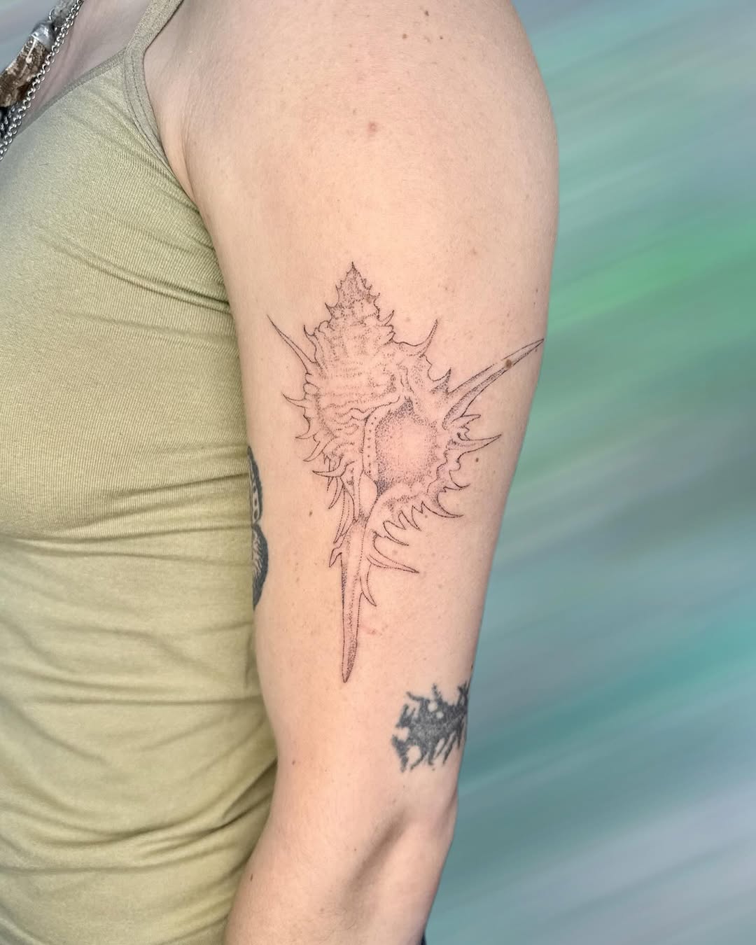 Sea shell fine line tattoo on the forearm by GG ๐ธ