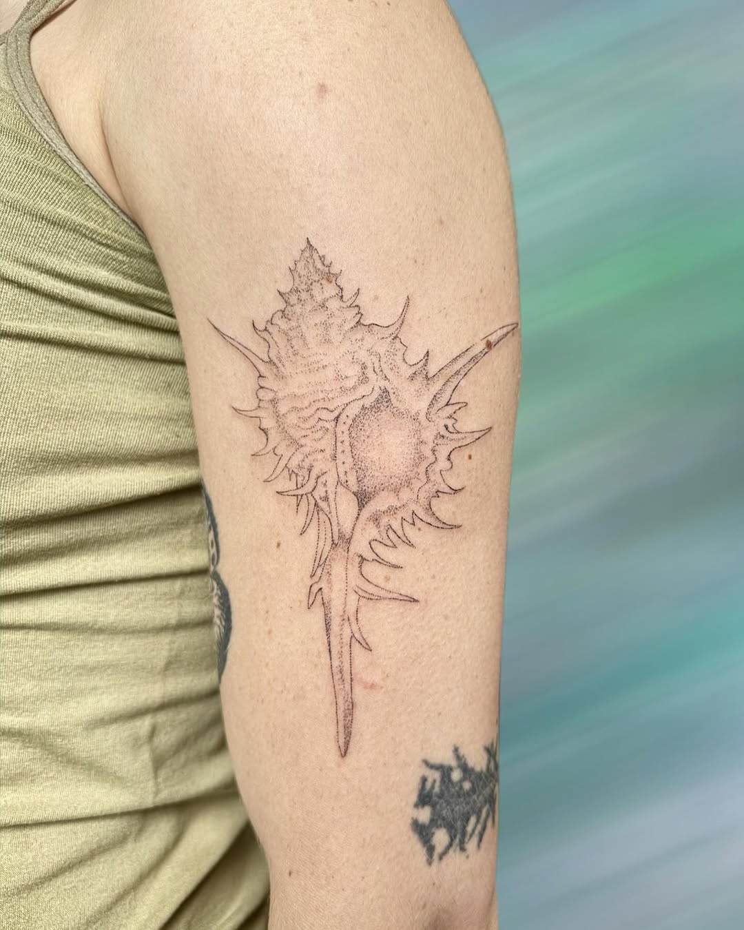 Seashell fine line tattoo on the forearm by GG ๐ธ