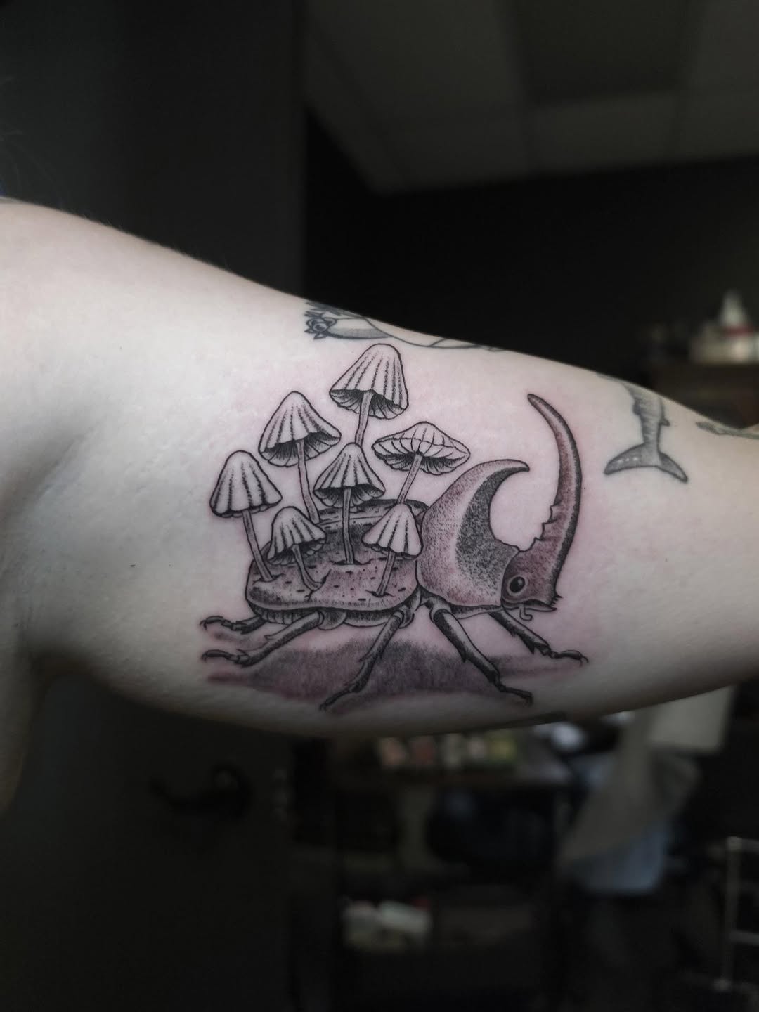 Tattoo by @inkbyxavia — black_and_grey, illustrative