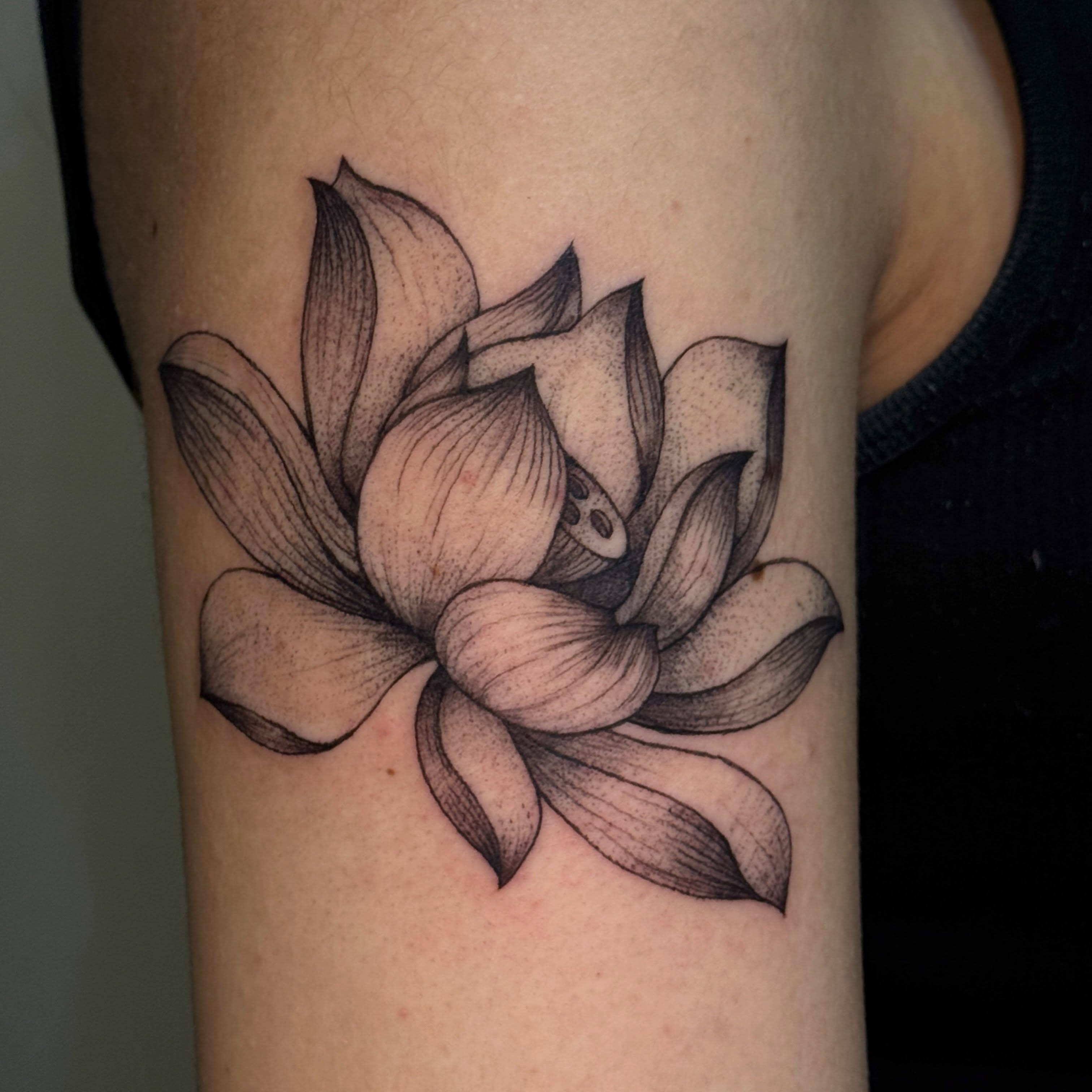 Tattoo by @ktyvink — dotwork