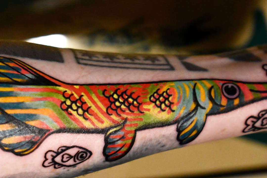 Koi fish American traditional tattoo on the forearm by Mackz
