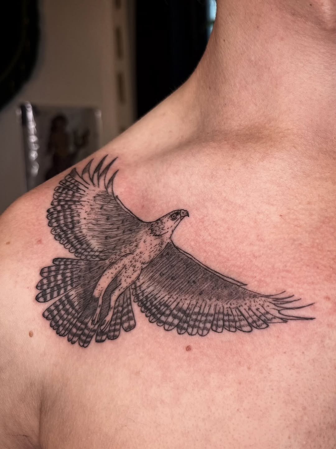 Eagle in flight fine line tattoo on the shoulder by Eden H., Columbus, Ohio