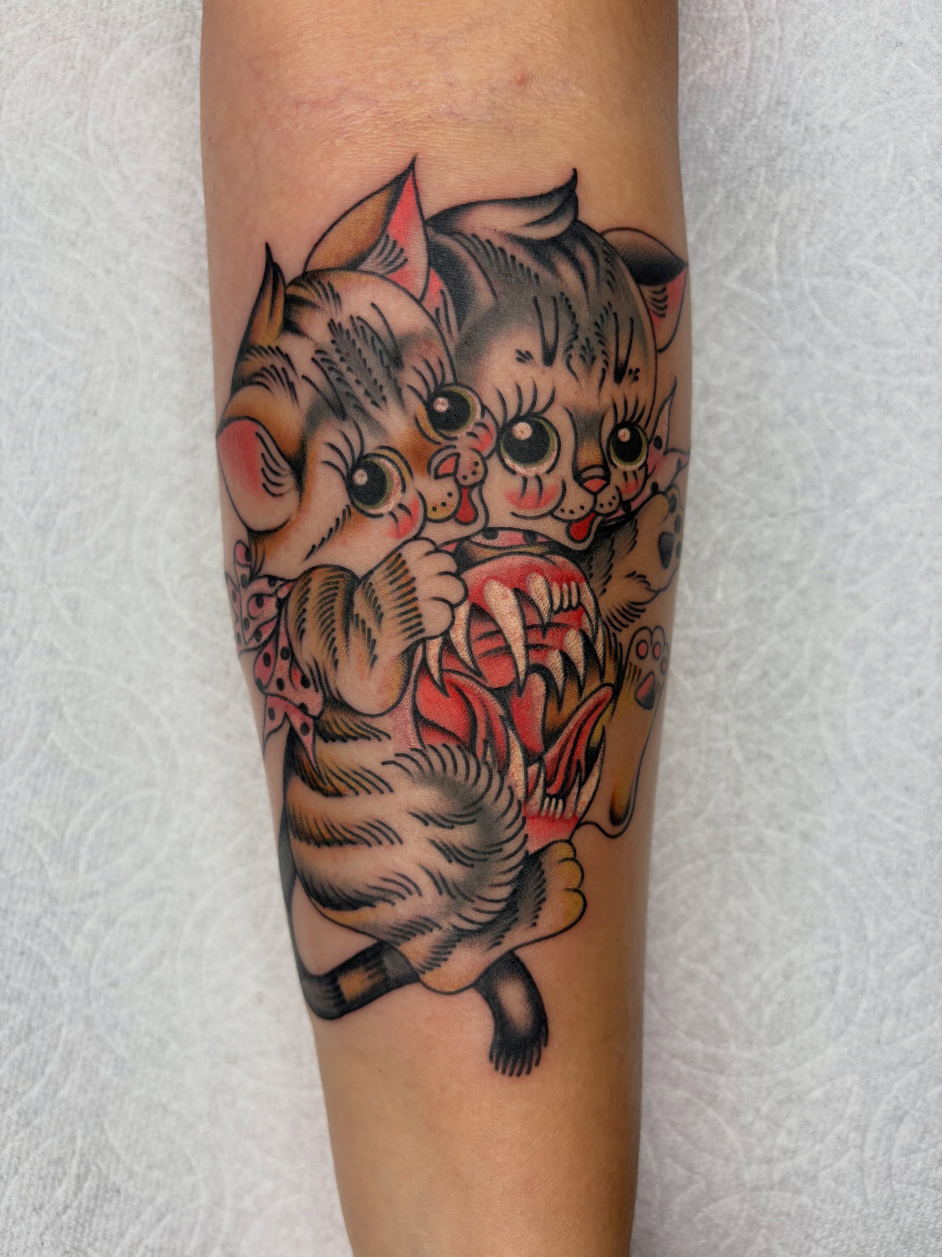 Kittens American traditional tattoo on the forearm by Nori