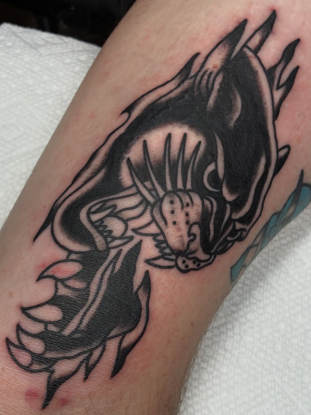 Panther head realism tattoo on the forearm by Sav Robinson