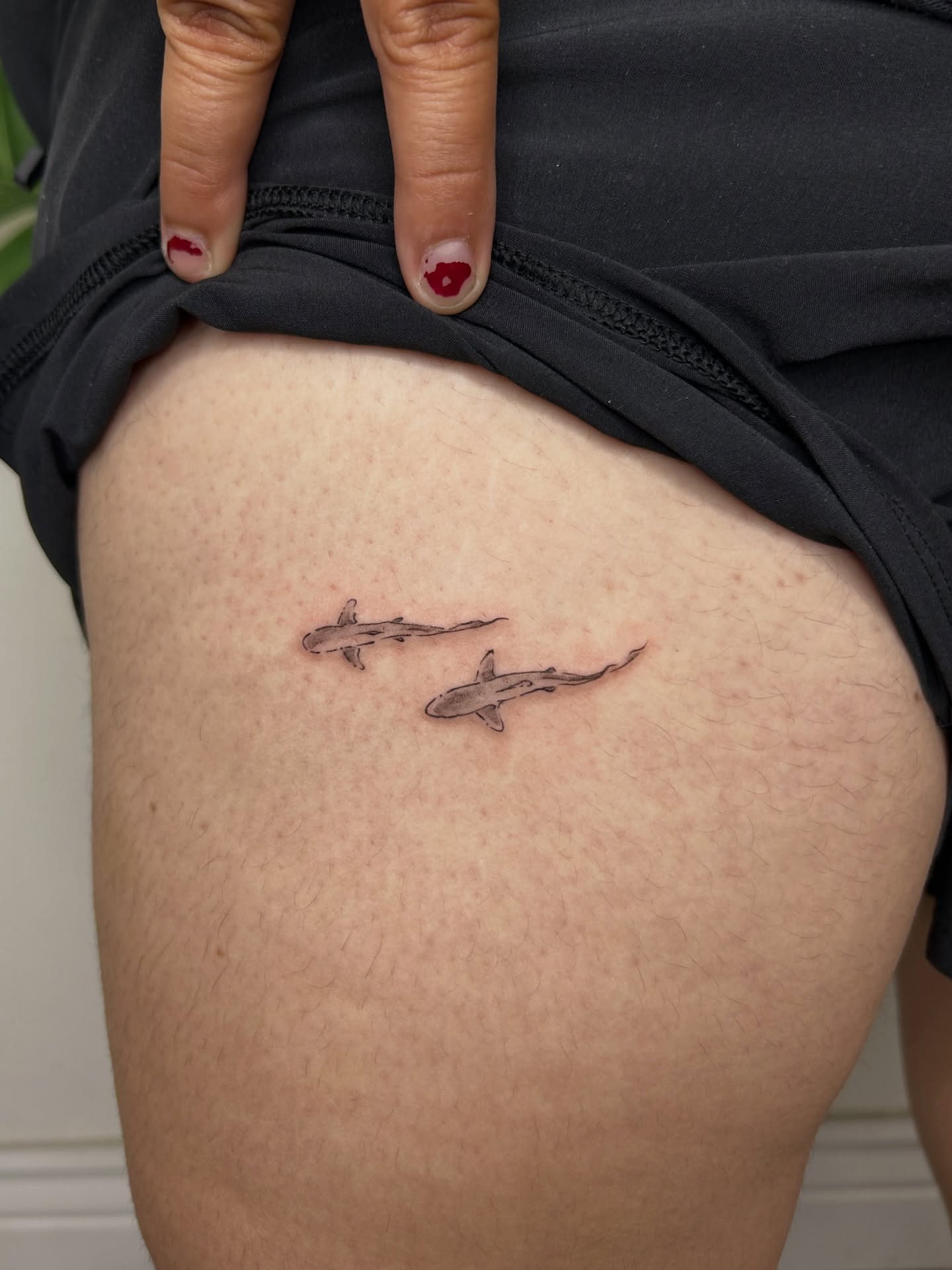 Sharks black and grey tattoo on the thigh by Miri