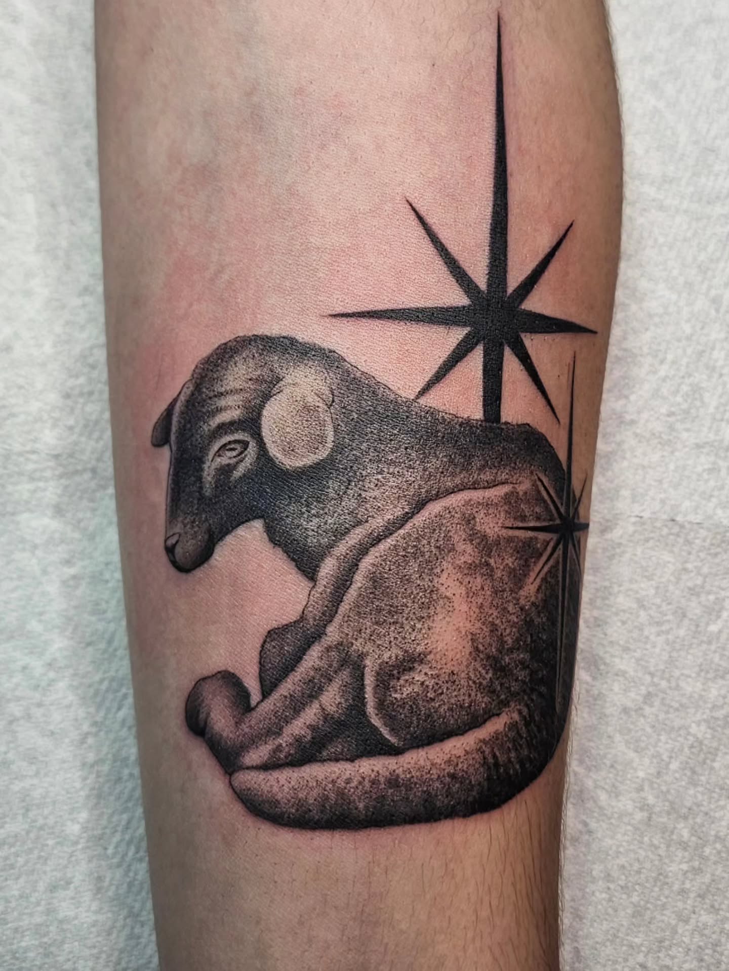 Ram and star dotwork tattoo on the forearm by Adriannah Esparza